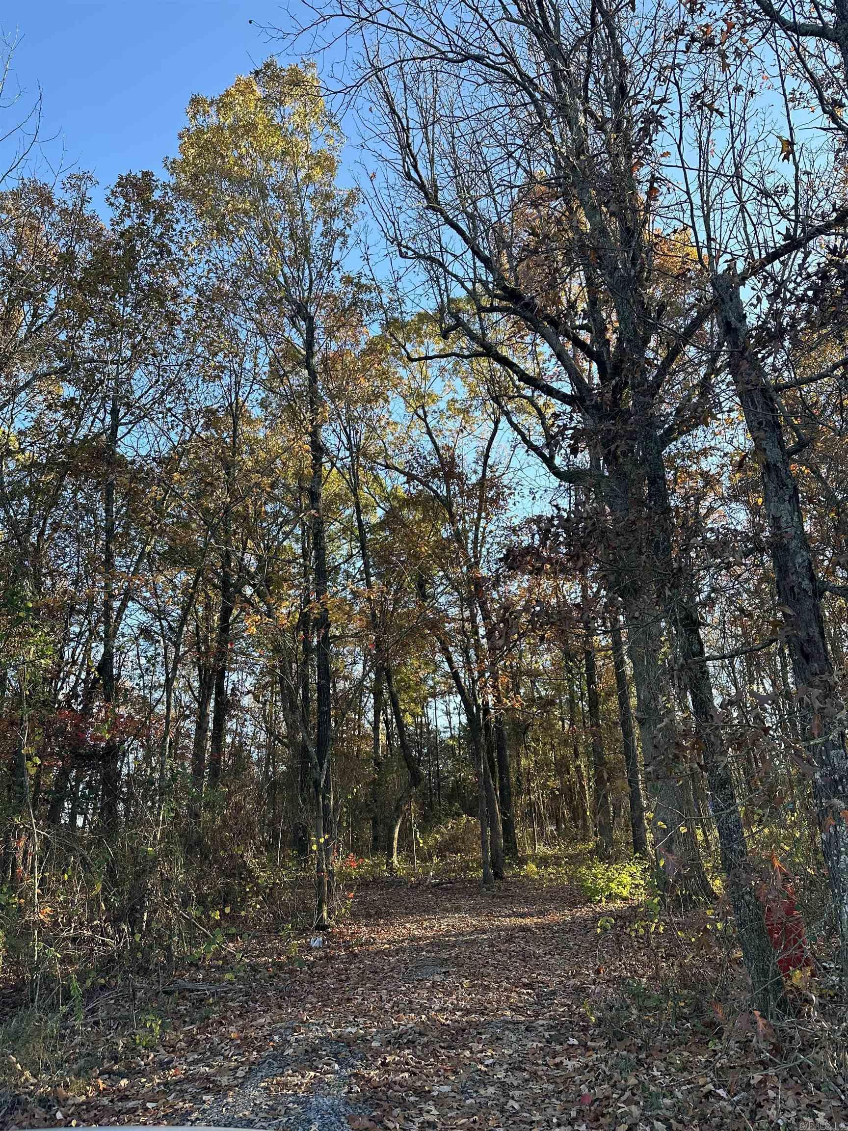 Welcome to 3987 Blackland Rd, Pleasant Plains, AR! This 4.14+\- acre unrestricted property in Independence County offers a peaceful rural setting with endless potential. 1+\- acre of cleared and 3.14+\- acre of wooded. Electric service is already run to a cleared area, ready for your plans (meter pole not set).  The back acre features a deer stand, making it a great spot for hunting or simply enjoying the outdoors. Whether you’re looking to build, camp, or use the land for recreation, this property provides the flexibility you need.  A rare opportunity to own acreage with no restrictions—don’t miss it! Call your favorite realtor today to schedule showing!