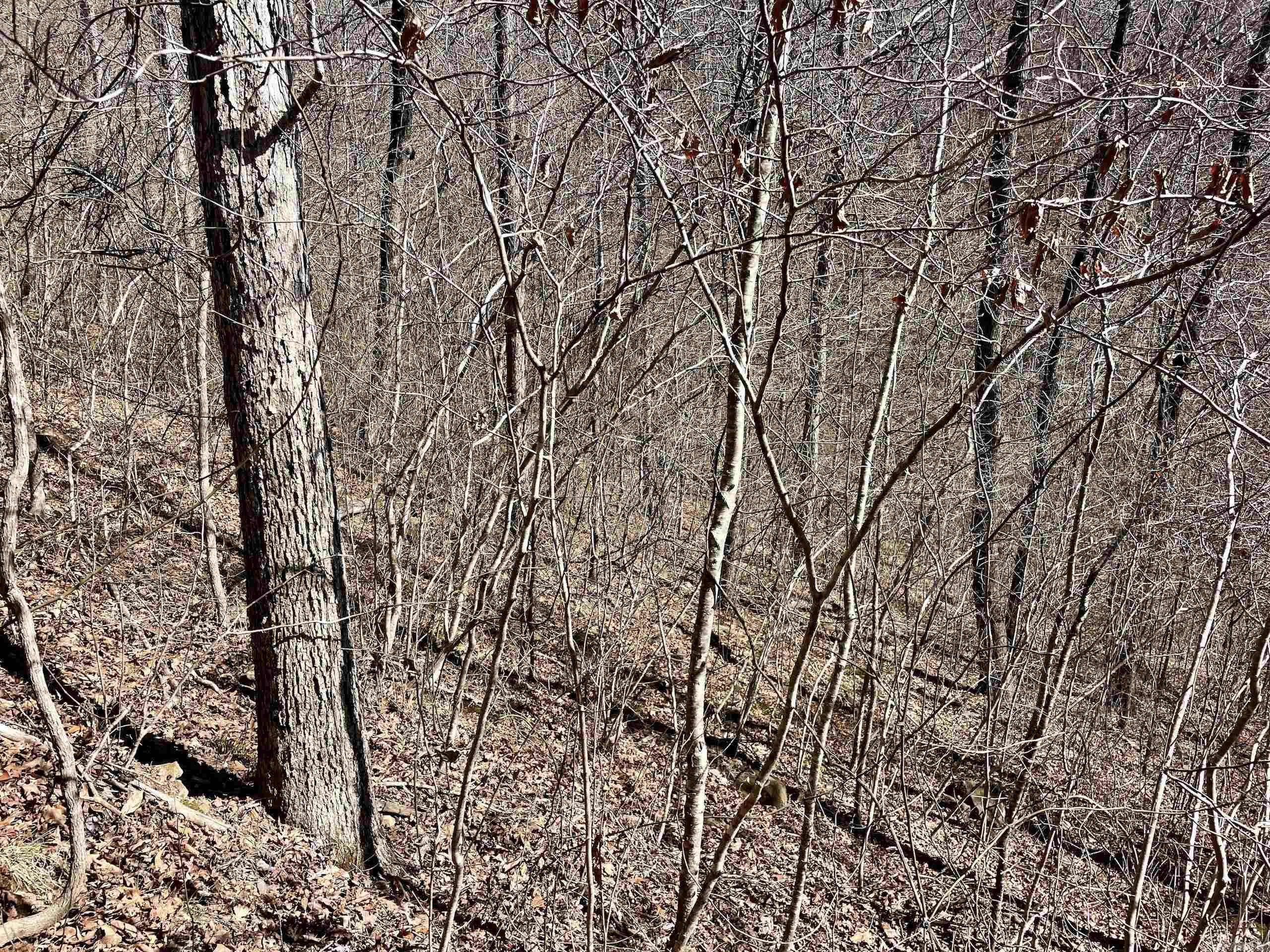 Not in Subdivision - Land