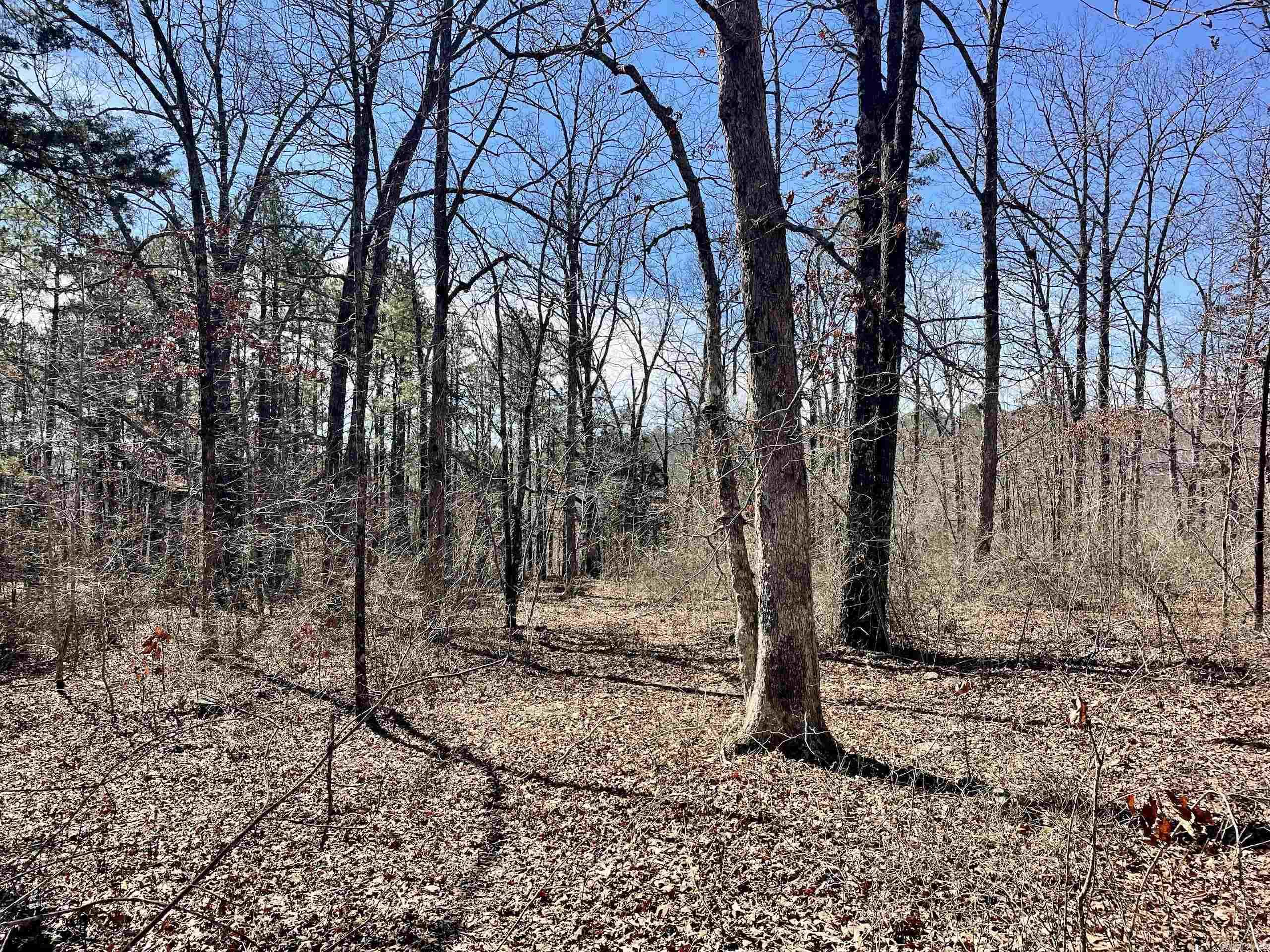 Not in Subdivision - Land