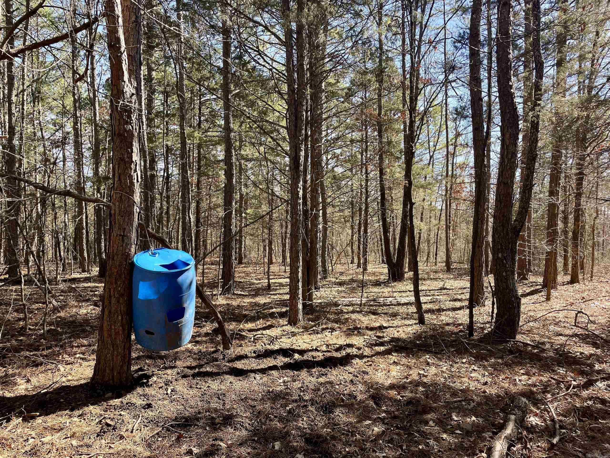 Not in Subdivision - Land