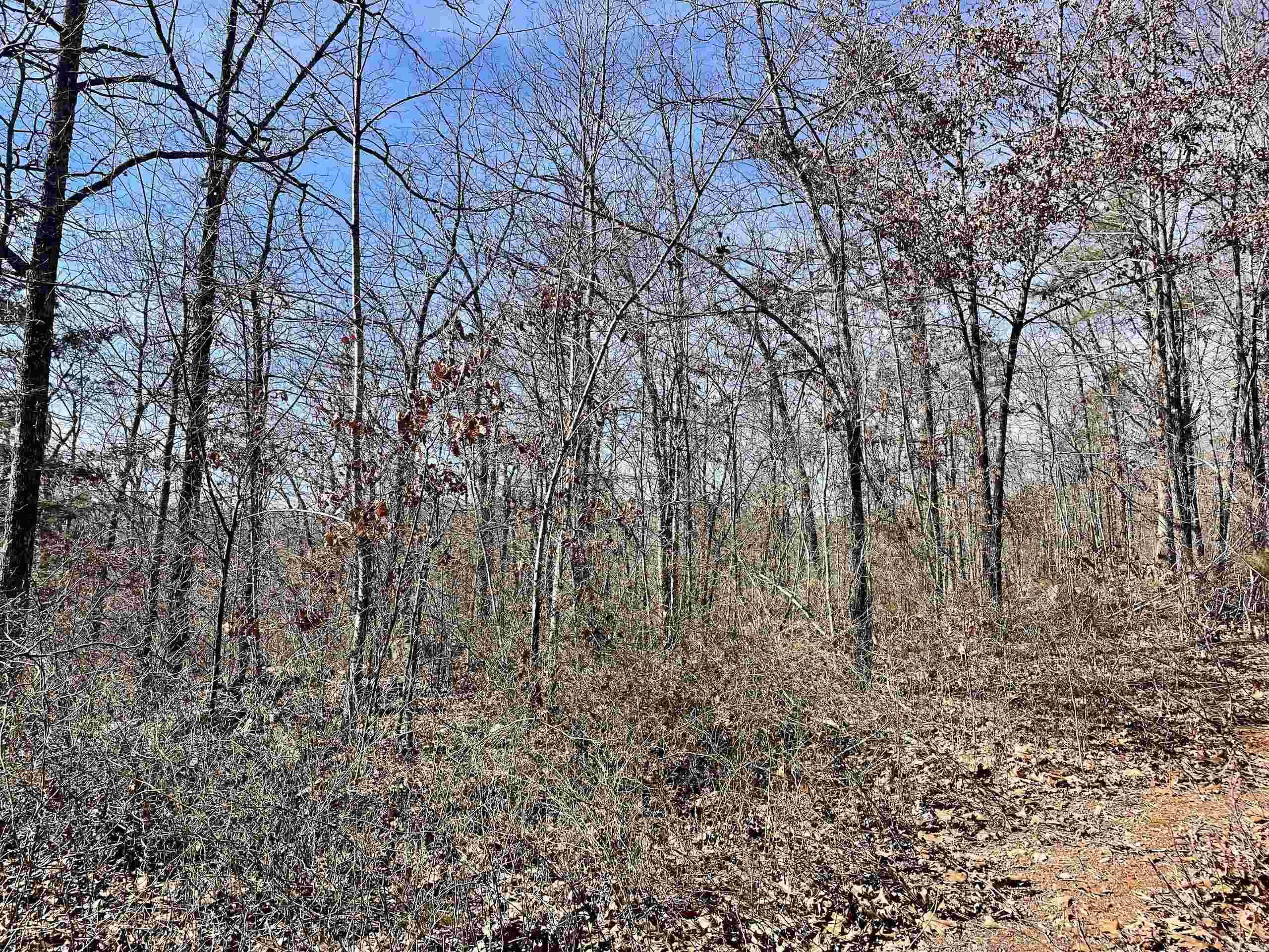 Not in Subdivision - Land