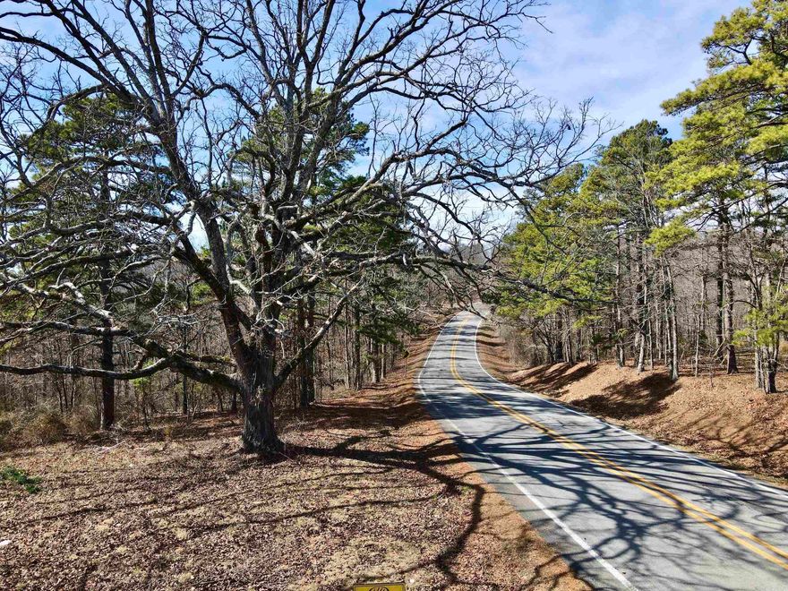 Have you been searching for a remote homesite with modern utilities already in place? This exceptional Ozark Mountain property offers the rare opportunity to enjoy privacy and seclusion without going off-grid. With direct state highway frontage and access to rural water, electricity, and high-speed internet, you can build your dream home while staying connected and comfortable.  An existing old homesite provides a ready-made building location, complete with stunning views of the Ozark Mountains. Whether you envision a custom home, a cabin retreat, or a weekend getaway, this elevated setting delivers the scenery and accessibility that today’s buyers are looking for.  A restored logging road winds through the property, offering easy access to its many natural features. Explore seasonal streams, striking rock formations, and a healthy stand of mature pine and hardwood timber. The mix of terrain and cover creates ideal wildlife habitat, and the area supports abundant deer, turkey and other native game. Recent hunting pressure has been minimal, adding to the property’s recreational appeal.