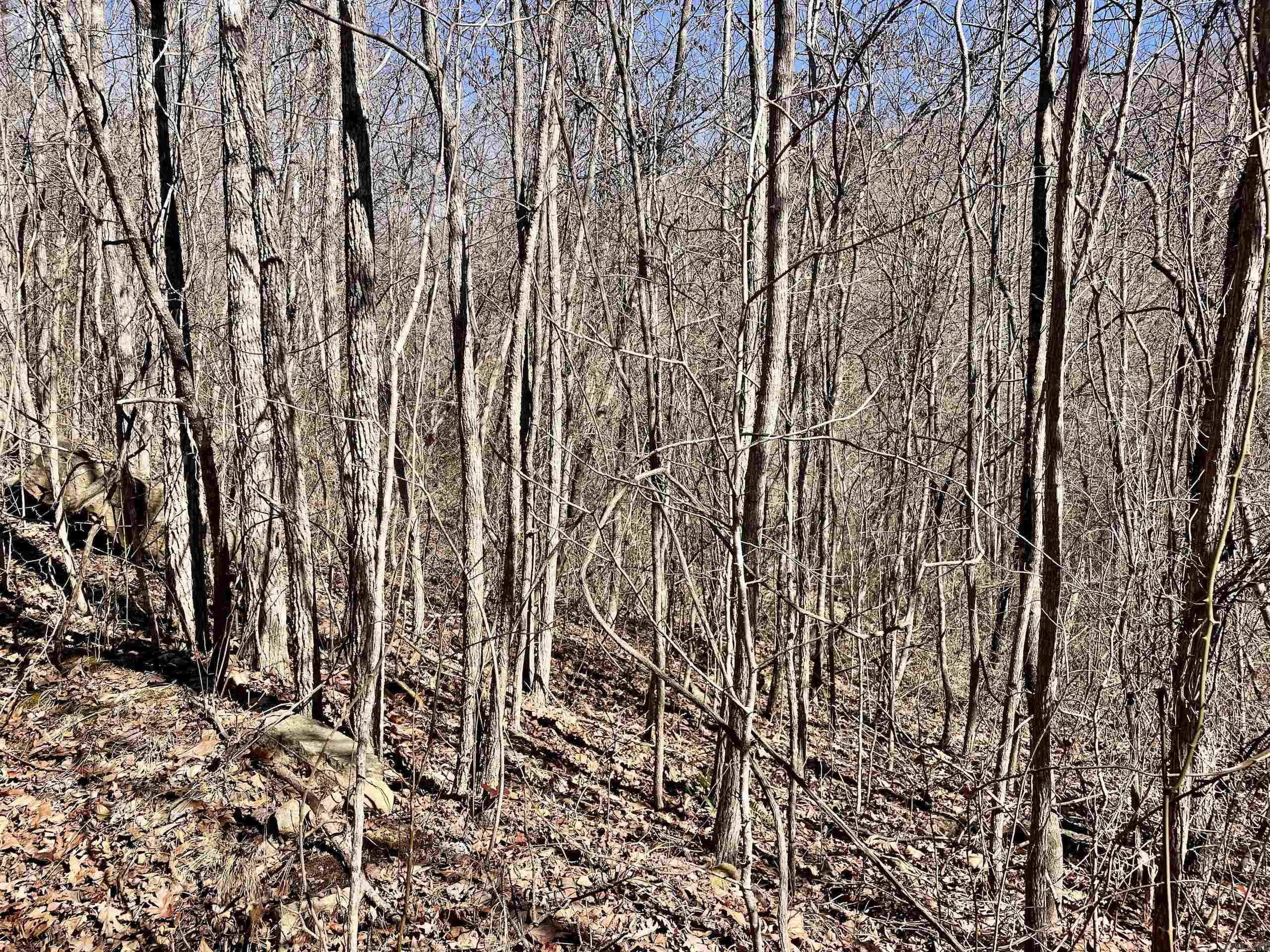 Not in Subdivision - Land