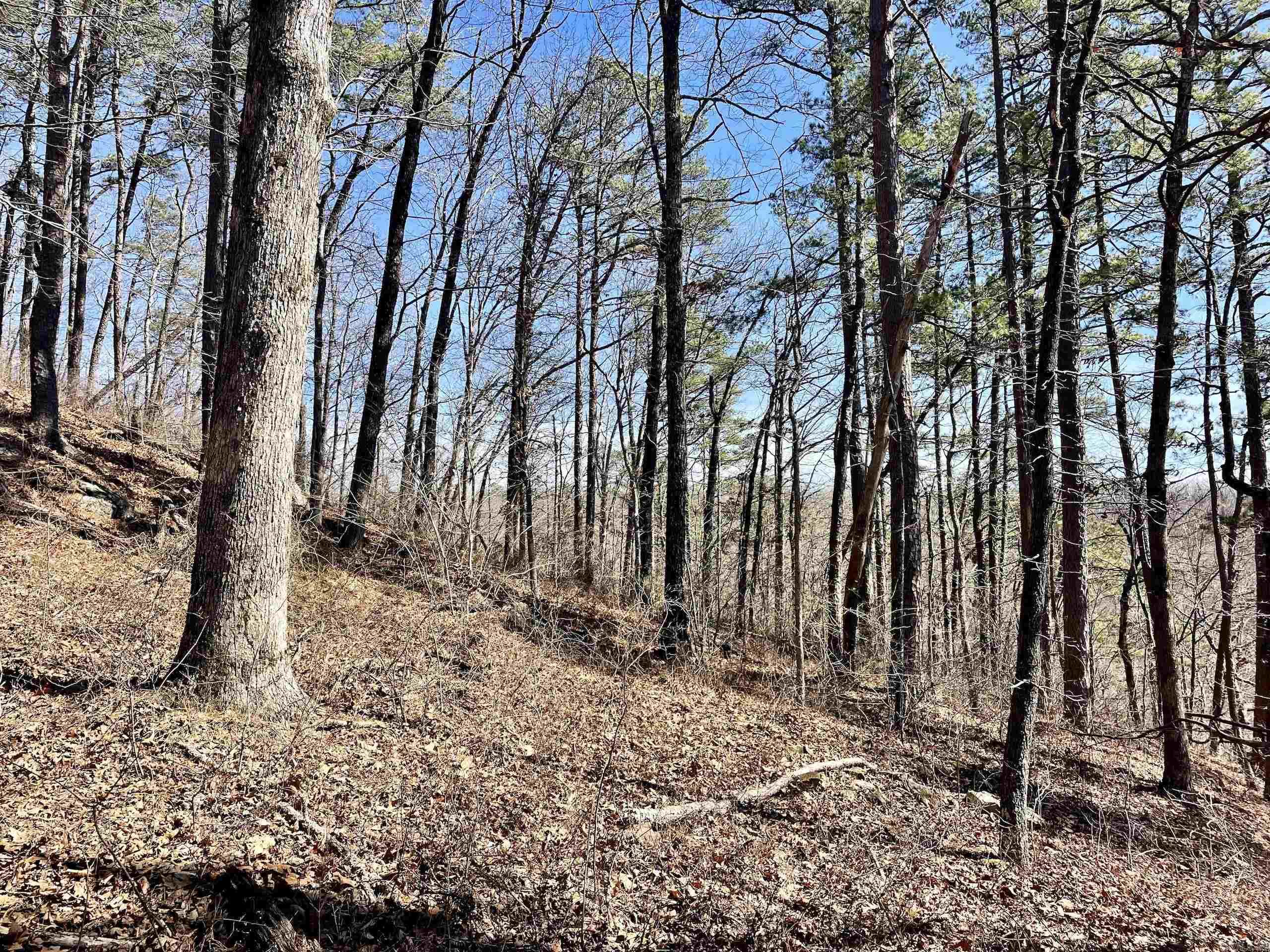 Not in Subdivision - Land