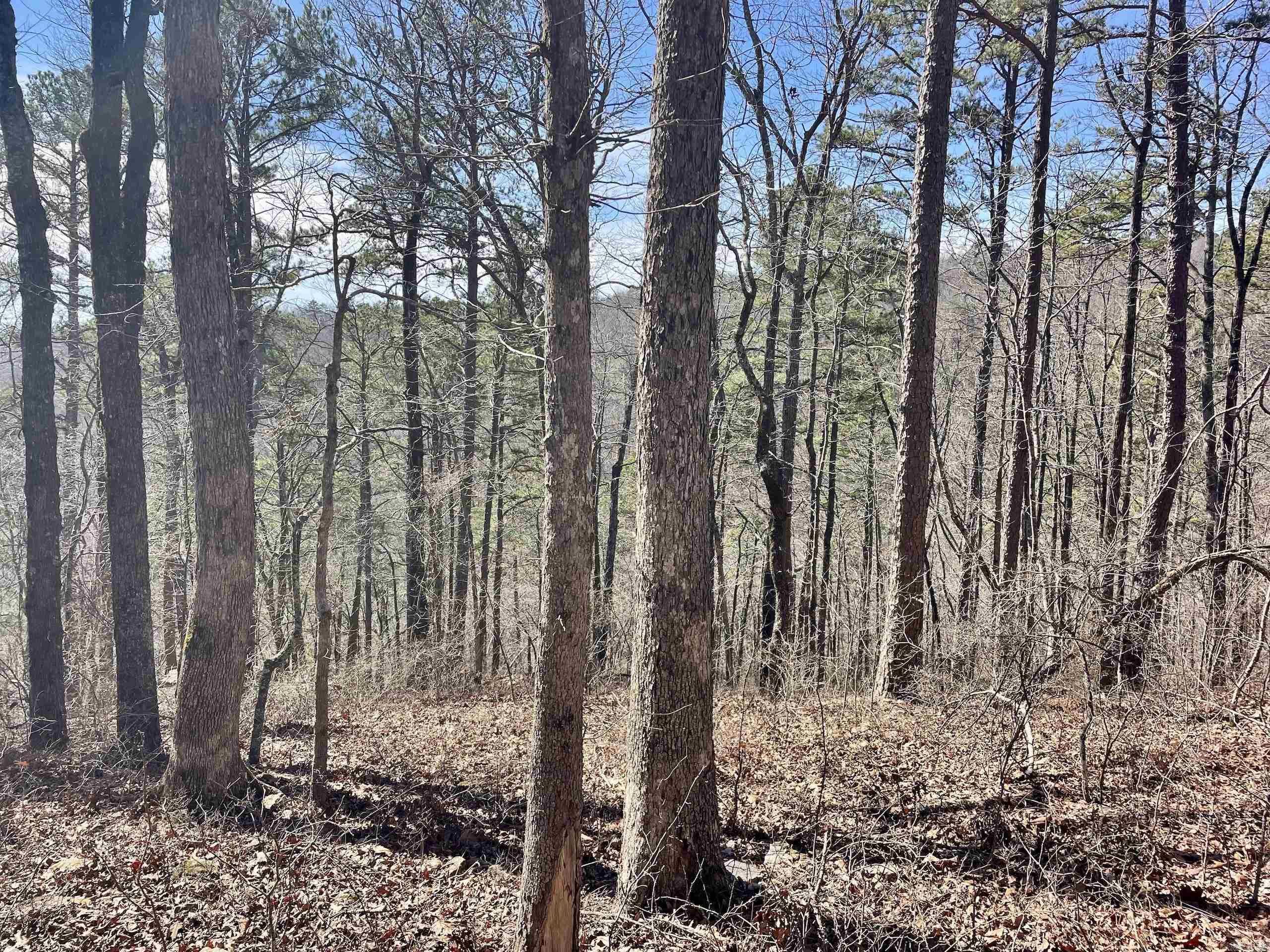 Not in Subdivision - Land