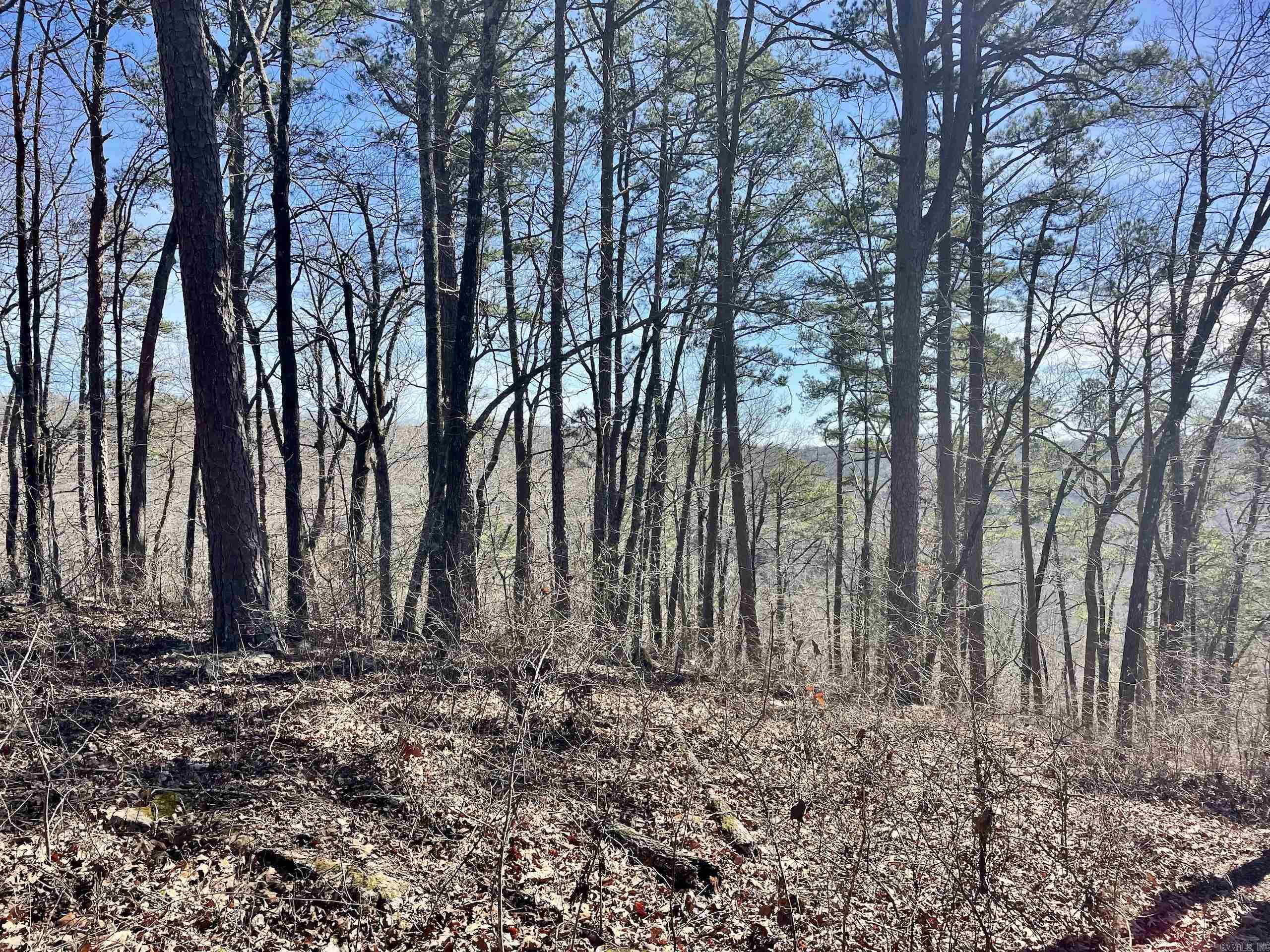 Not in Subdivision - Land