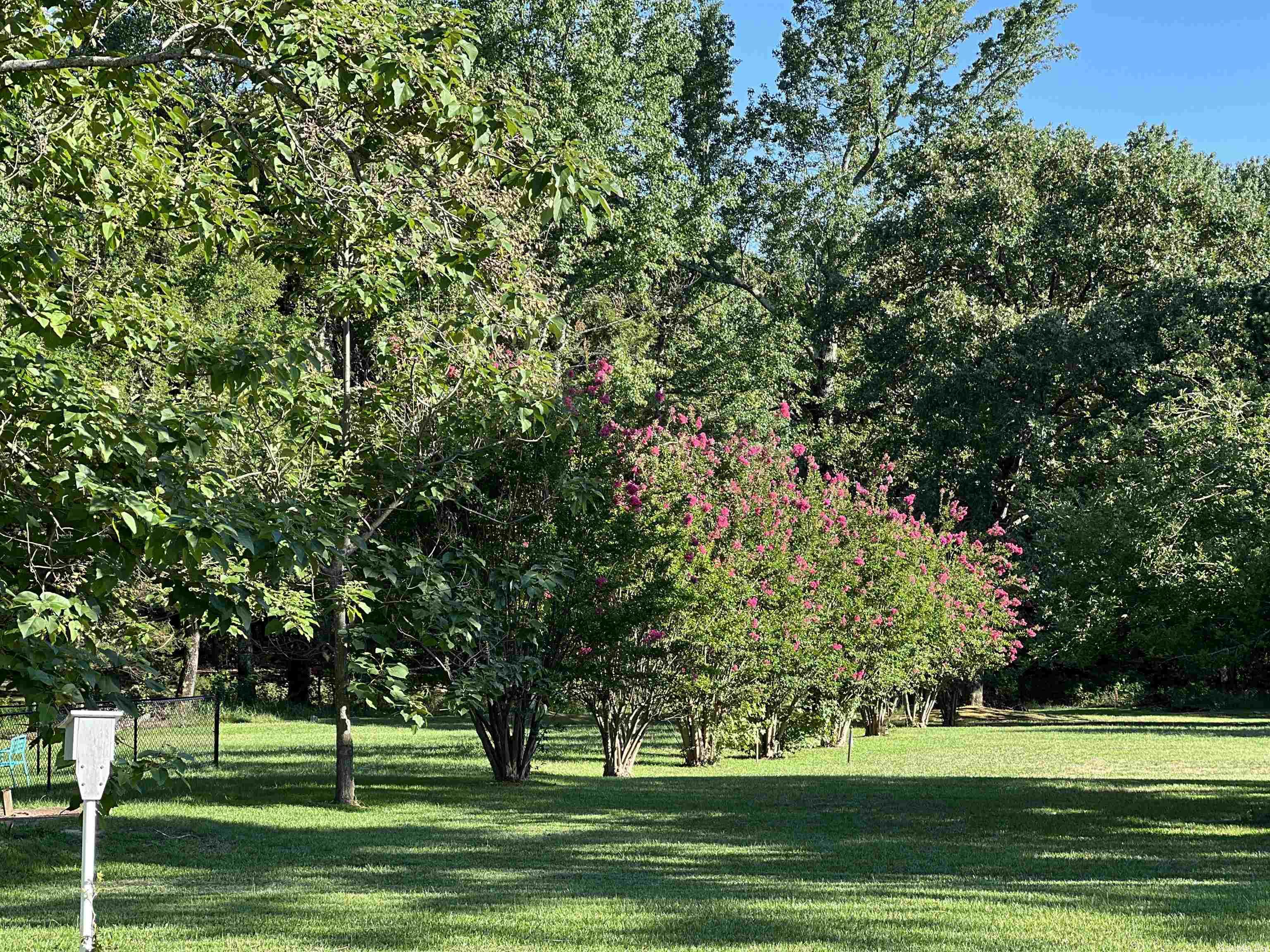 Shiloh Terrace - Residential