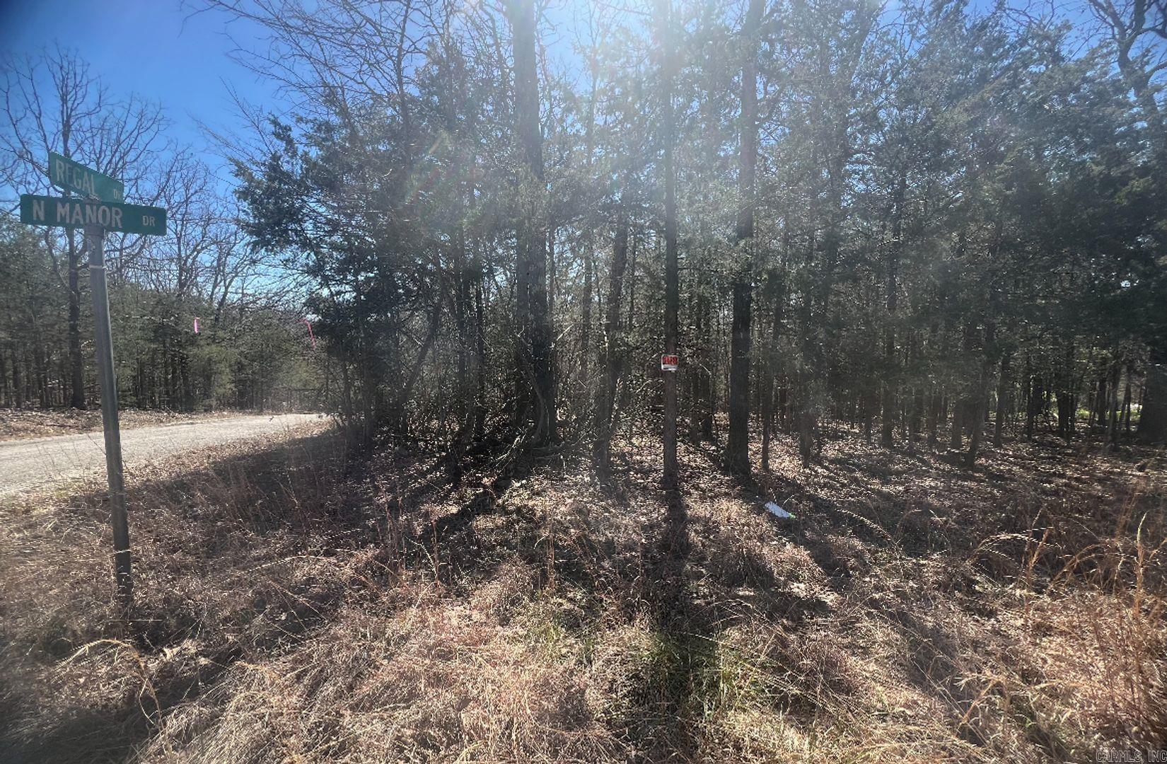 Owner Financing available- This corner building lot is far enough out of town where you have some quiet, yet close enough to make that quick trip to the store if you need to. It is walking distance to Pioneer Lake and very close to the Golf Course and Resort! If this corner lot isnāt for you, we have lots all over Horseshoe Bend. Horseshoe Bend is an excellent place where you can call it your forever home or build/ place a cabin for a nice vacation getaway. This lot has power at the lot line. This area provides a few lakes to have an endless amount of fun. Take the family and friends and spend the day or weekend out on the water. You can fish, go swimming, and do many other water activities. Utilities nearby! The Horseshoe Bend Water Department will have Water & Sewer information for you concerning water service and trash service. That number is 870-670-5885 or you can email at water@cityhsb.org The electricity is provided by North Arkansas Electric Cooperative. Their number is 870-895-3221. Here is your opportunity to buy a beautiful piece of land in Horseshoe Bend. It is the perfect place to build or use as a vacation spot for yourself or your family.