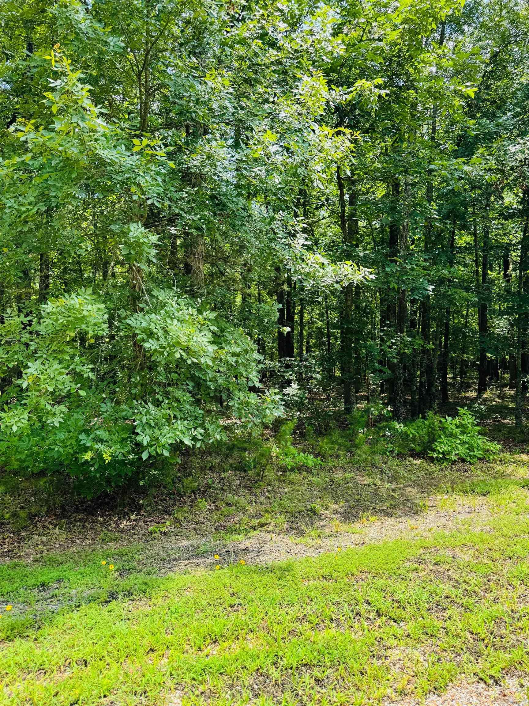 Primrose Creek Sayles - Land
