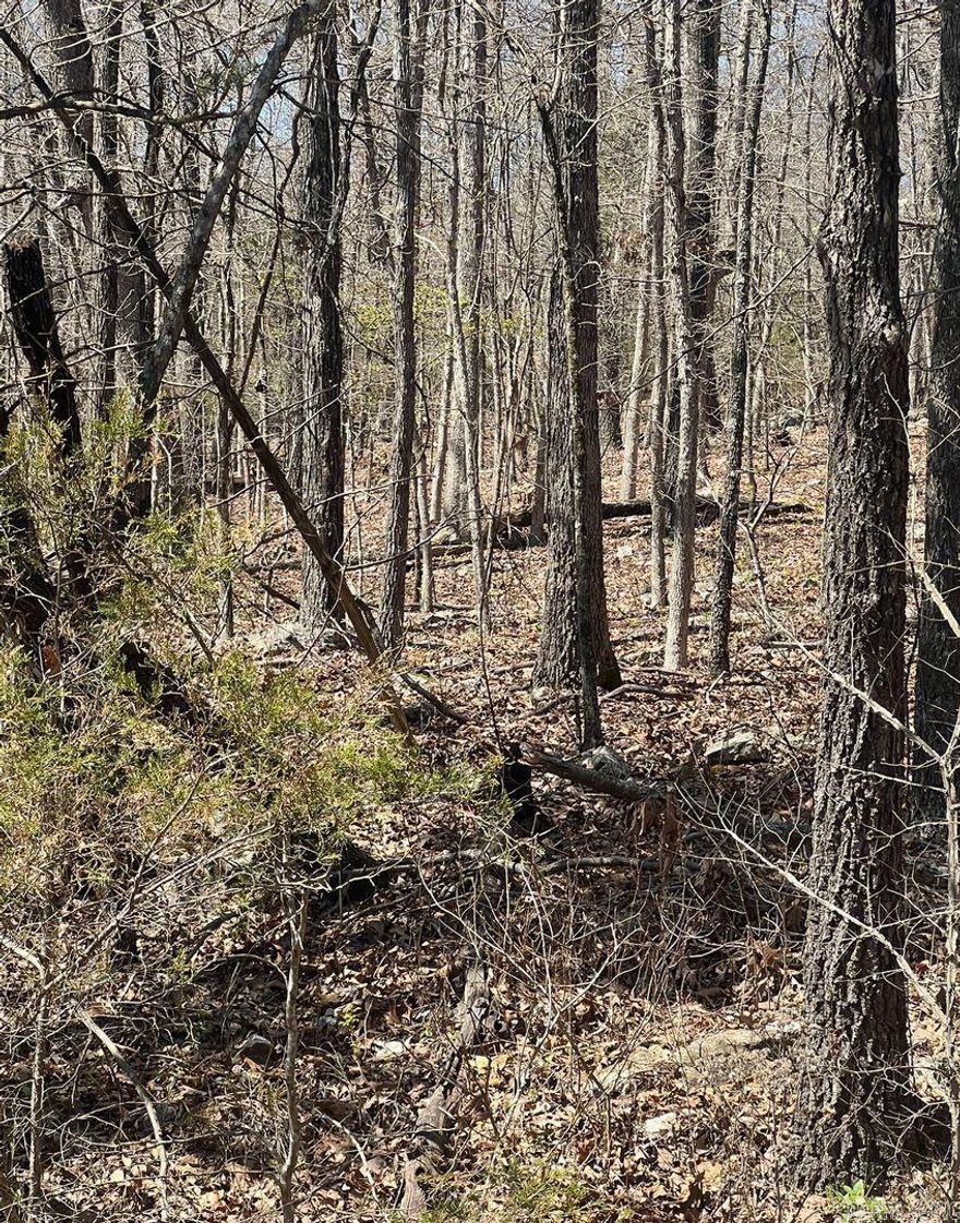 Owner Financing is available- his wooded lot is a great spot to build your forever home, vacation home or plan for retirement. This lot is on a dead end circle drive. All three of the lots we have available take up the entire dead-end road.  https://cityofhorseshoebend.wordpress.com/  The Horseshoe Bend Water Department will have Water & Sewer information for you concerning water service and trash service and road maintenance. That number is 870-670-5885 or you can email at water@cityhsb.org The electricity is provided by North Arkansas Electric Cooperative. Their number is 870-895-3221. There are houses nearby since this land is all the way at the end of the street which backs up closer to current utility poles.  Horseshoe Bend has so much to do for the whole family like fishing, canoeing, golfing, bowling, swimming, etc. Diamond Lake & Crown Lake are a 5-minute drive from these lots! Crown Point Resort is also 5-minutes offering local jobs and entertainment!  Horseshoe Bend is also ATV friendly, with a permit. There are several outer roads that aren't being maintained to go riding on! Lots of creeks, wildlife and hills to explore!