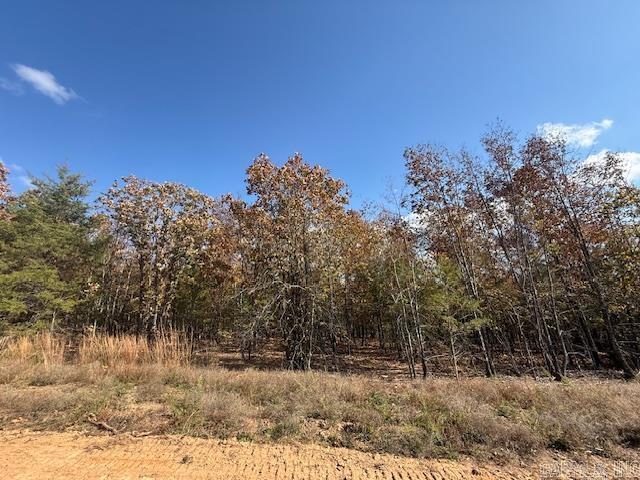 SUMMERLYN SUBDIVISION - Land