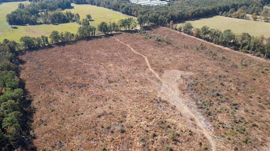 The Avalon Tract is located in the central part of Lincoln County, Arkansas approximately 1 mile north of Star City on Avalon Road.  Access to the property is good from Avalon Road along the north boundary.  This is a paved, county maintained road. Typical rural utilities (electrical & water) are available along the road.  This tract was planted with loblolly pine last year. This tract has a beautiful overlook of the surrounding area that is a must-see!  Whether you are looking for a place to build your dream home, convert the plantation to pasture and build a farm, keep as a timberland investment, or just looking for a place to hunt or just ‘get away’, check on the ‘Avalon Tract’!