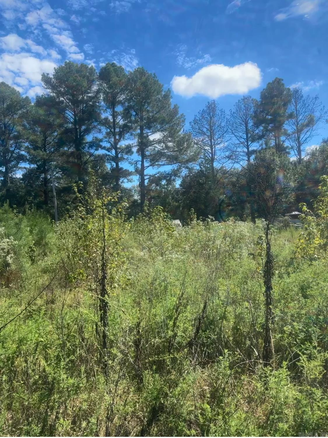 Come See this Beautiful Lot on Bowen Road Acreage 1.48