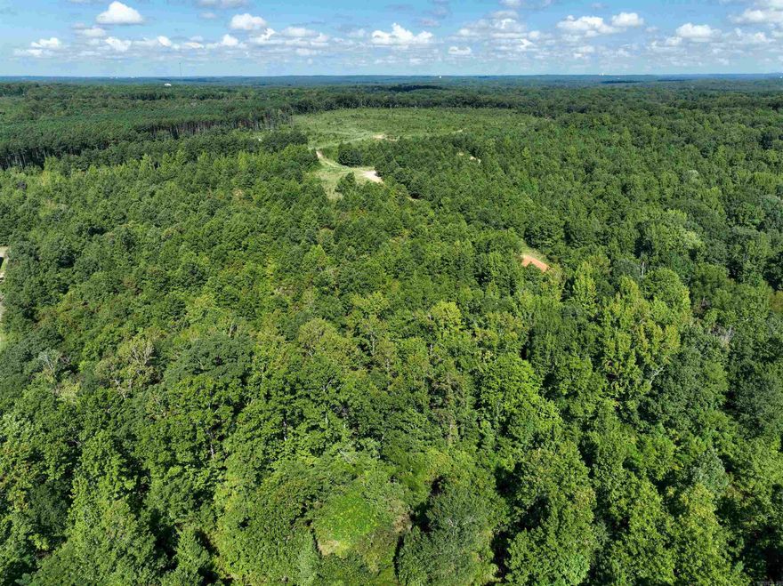 Pristine wooded acreage south of Little Rock. Dirt road off Hobby Trail. Development potential or keep for yourself. Divided from a larger tract. Other tracts available.