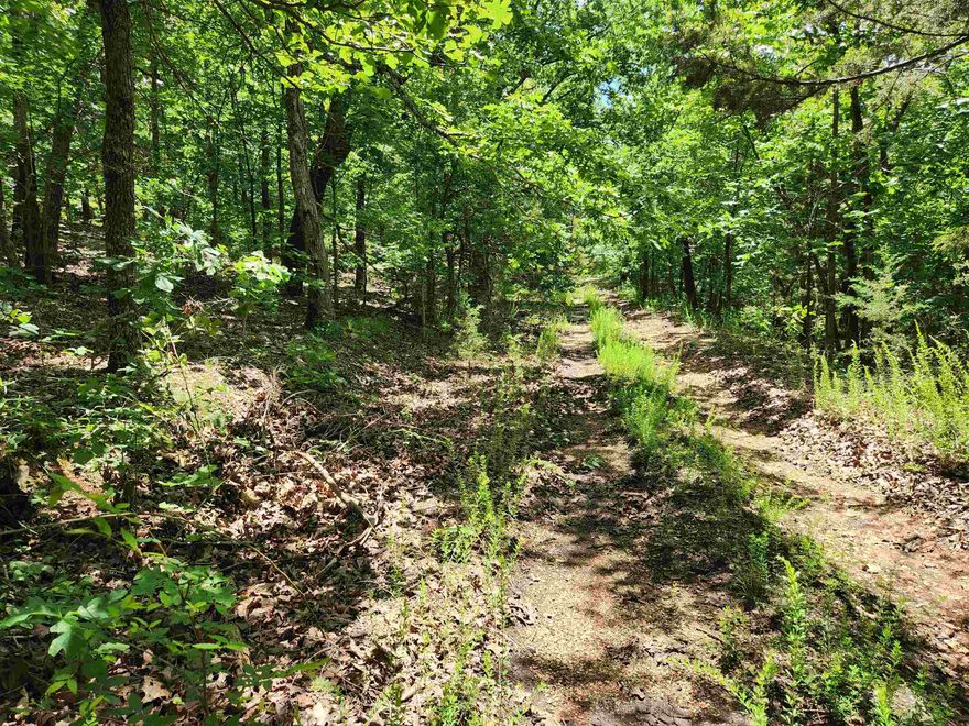 Nice little lot, just inside of the woods, in a little-known area just outside of Cherokee Village city limits. It could be a nice getaway spot for camping out or just hanging out with nature for a weekend or even a vacation. Located in the woods but just minutes away from the Highway to get out for shopping, dining and entertainment. Located between Ash Flat, Highland and Hardy means easy access to amenities but secluded in the Red Cloud subdivision of Hidden Valley Highland.