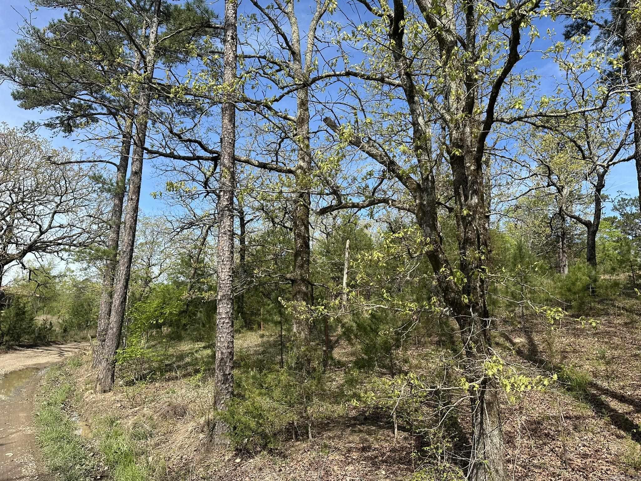 Metes & Bounds - Land