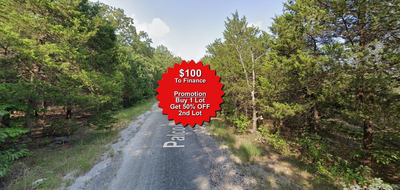 Buy one lot and get 50% off an additional lot! Owner-finance for easy terms. Cash buyers can pay by debit or credit card as well. Nice lot to develop or hold for future value. Public water and electric are available to run to property and will need septic. Owner/agent. No mobiles allowed. 1000 minimum build size on any other type of home, depending on subdivision. Finance is $100 down and 10 months at $99 and closing costs are included. Lots marked with red banner are part of promotion. No limit on lots. Buyer responsible for any/all taxes and lots sold "as-is". Quit claim deed conveys. Parcel ID# 355-19725-000