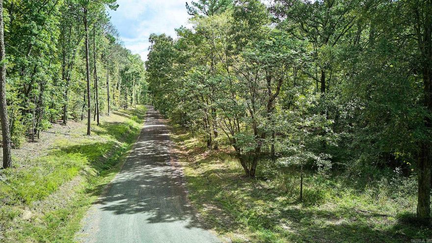 A rare opportunity to own over 4 acres of scenic lake-view property with lake access in Lake Catherine Lake View Estates. Lots 17 & 18 are being sold together, offering the ideal homesite for buyers seeking space, scenery, and location within the Lakeside School District. The property features road frontage on Tall Hickory Road, utilities available at the street, and gently rolling topography suited for a custom home or weekend retreat. Enjoy serene views, quick access to Lake Catherine, and close proximity to shopping, dining, and outdoor recreation. Whether you’re ready to build now or invest for the future, this combined parcel provides an exceptional opportunity to own acreage in one of Hot Springs’ most desirable lake-view communities.