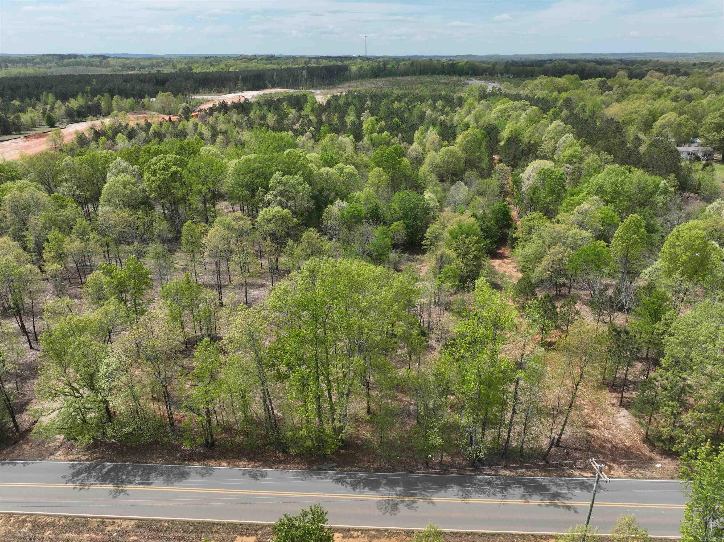 Mountain Pine - Land