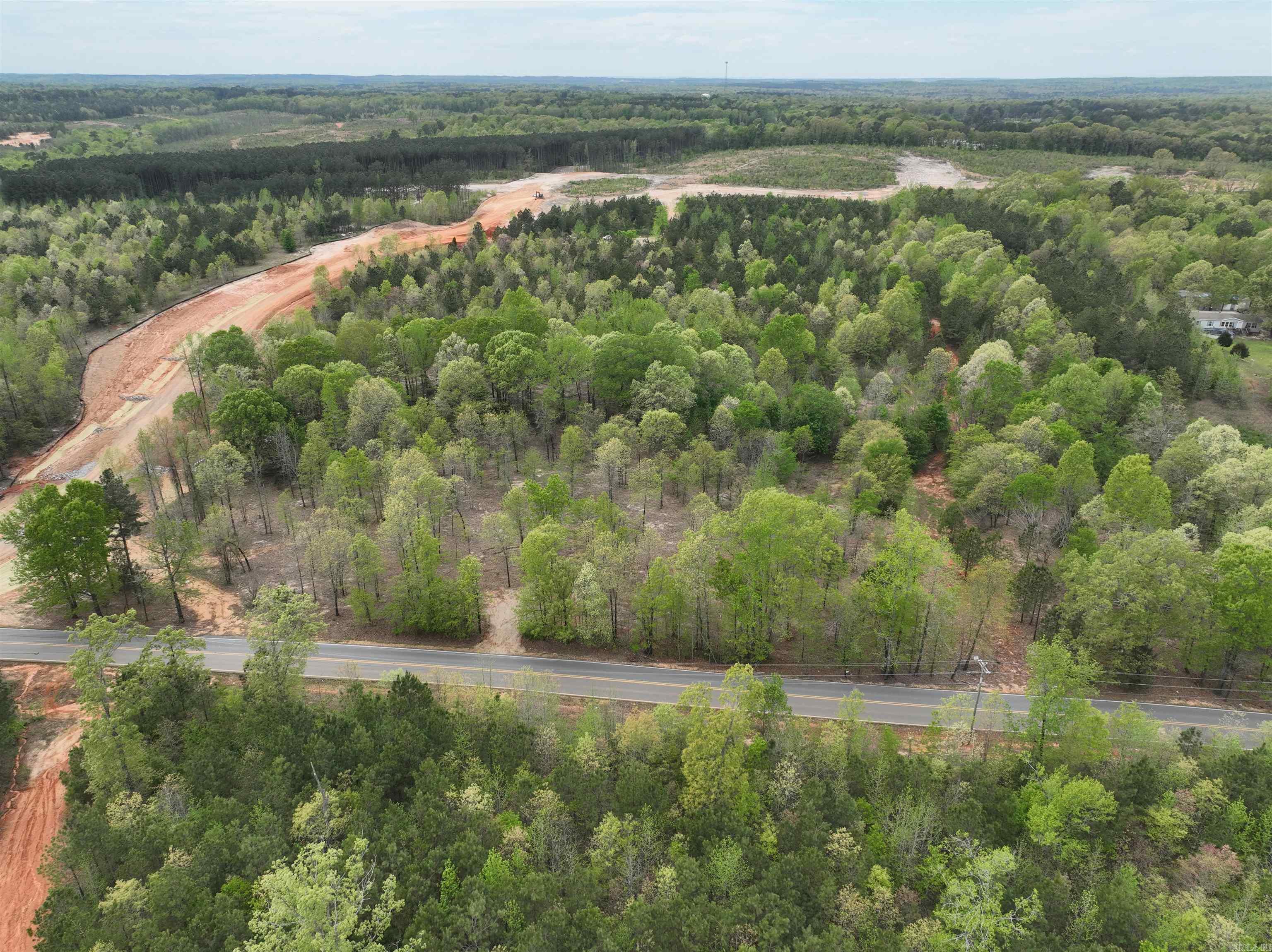 Mountain Pine - Land