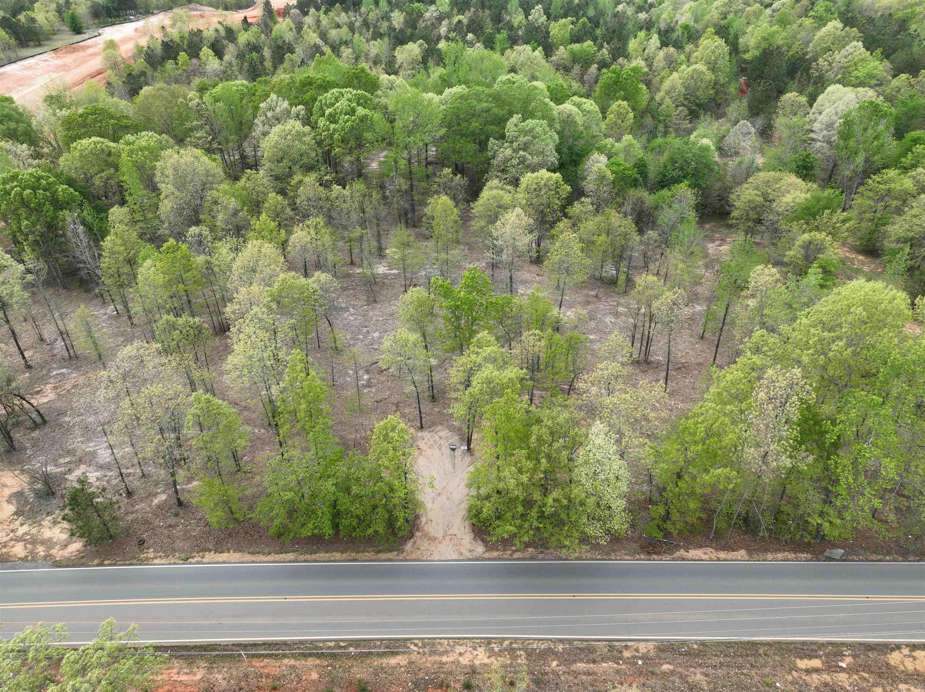 Mountain Pine - Land