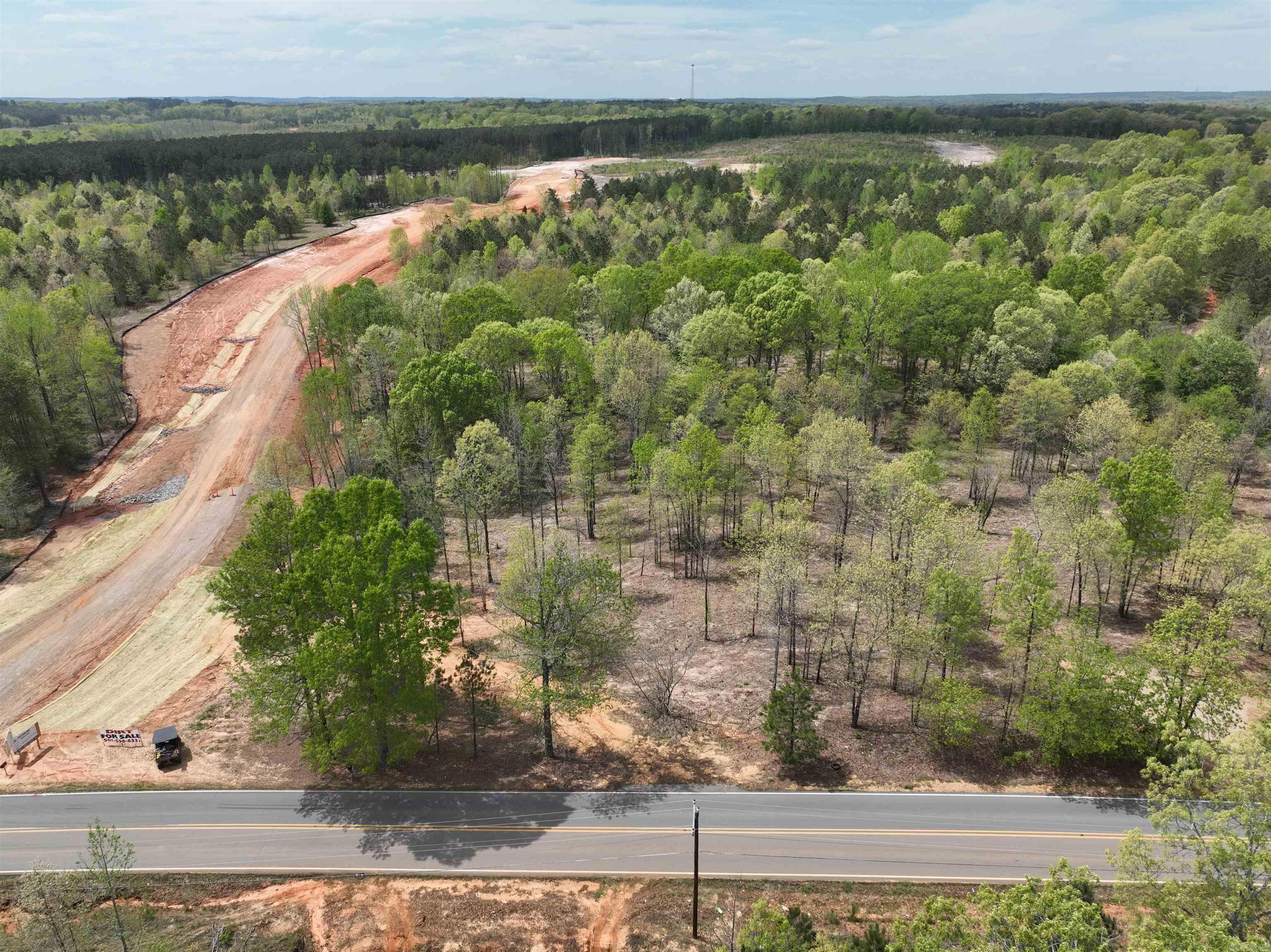 Mountain Pine - Land