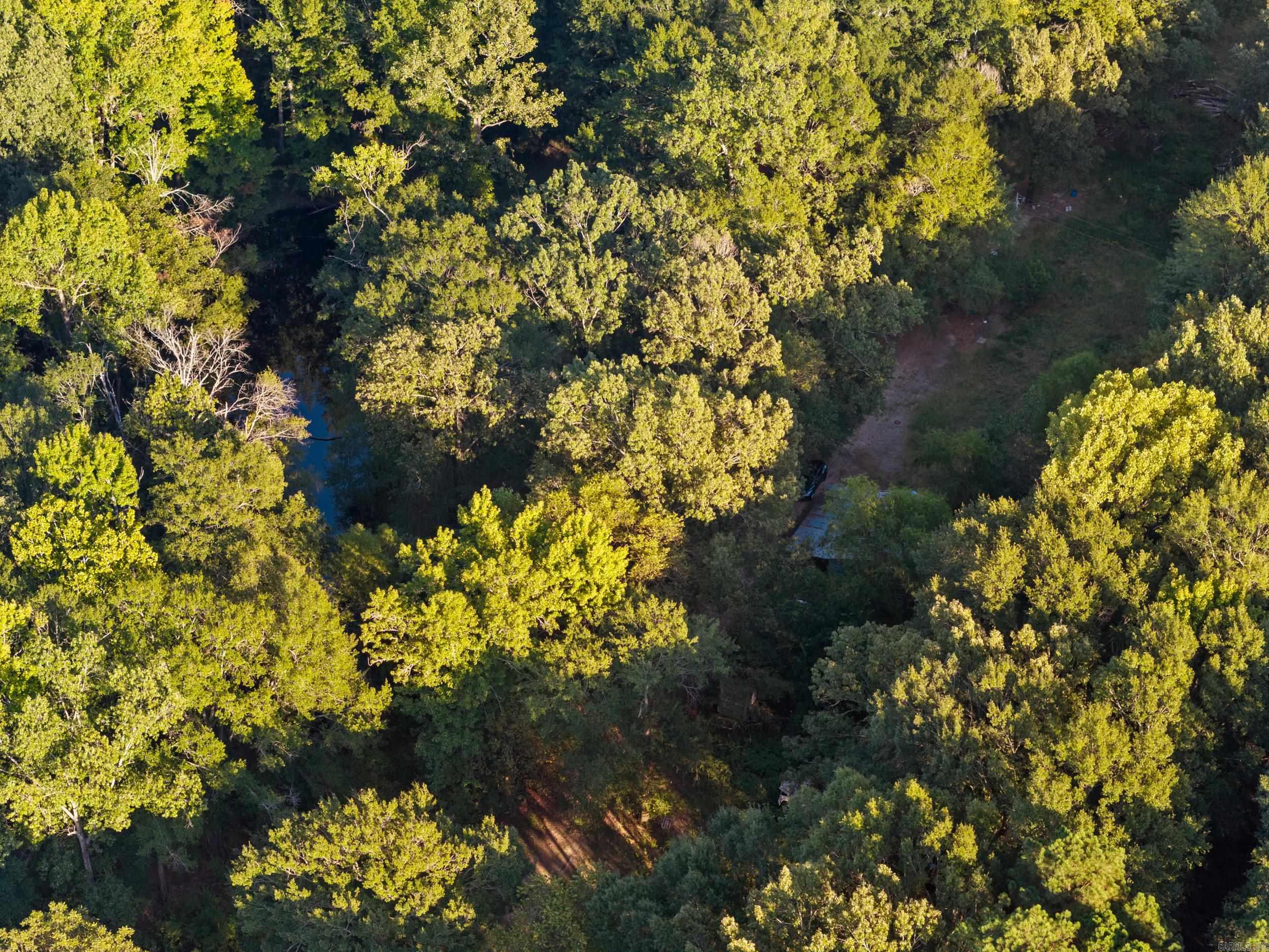 GEORGETOWN ORIGINAL - Residential