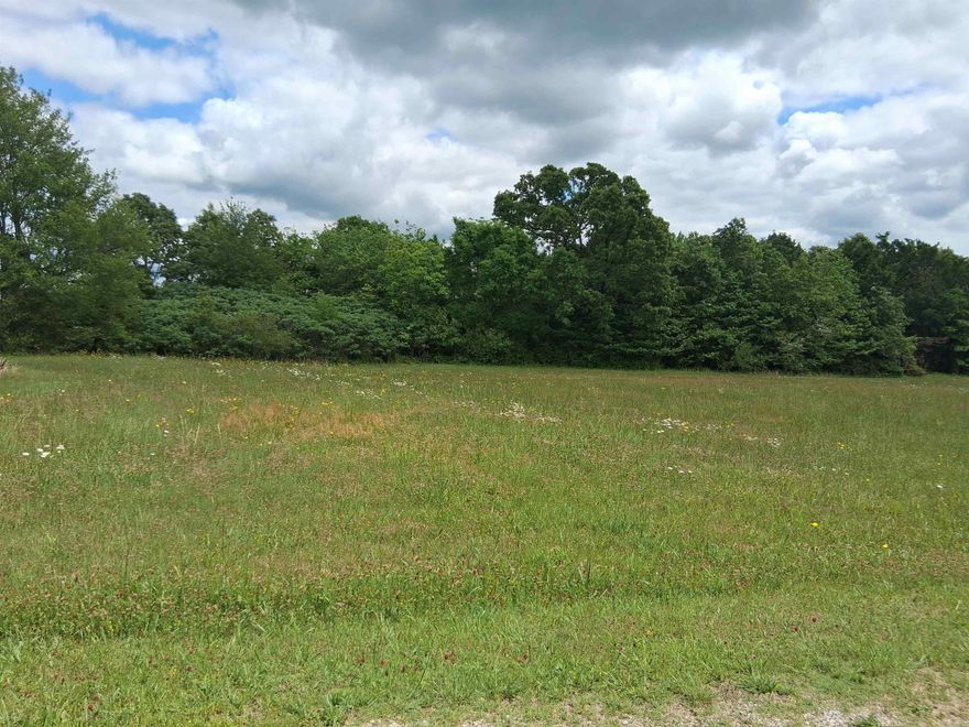 Commercial property in a prime area of Mountain View, AR.  Close to doctor's offices, Mountain View schools, Ozarka College and hospital.  So many opportunities to build your office building or other commercial business.  Property has electricity and city water available.  Storage building.  Property lays well and ready to build on.