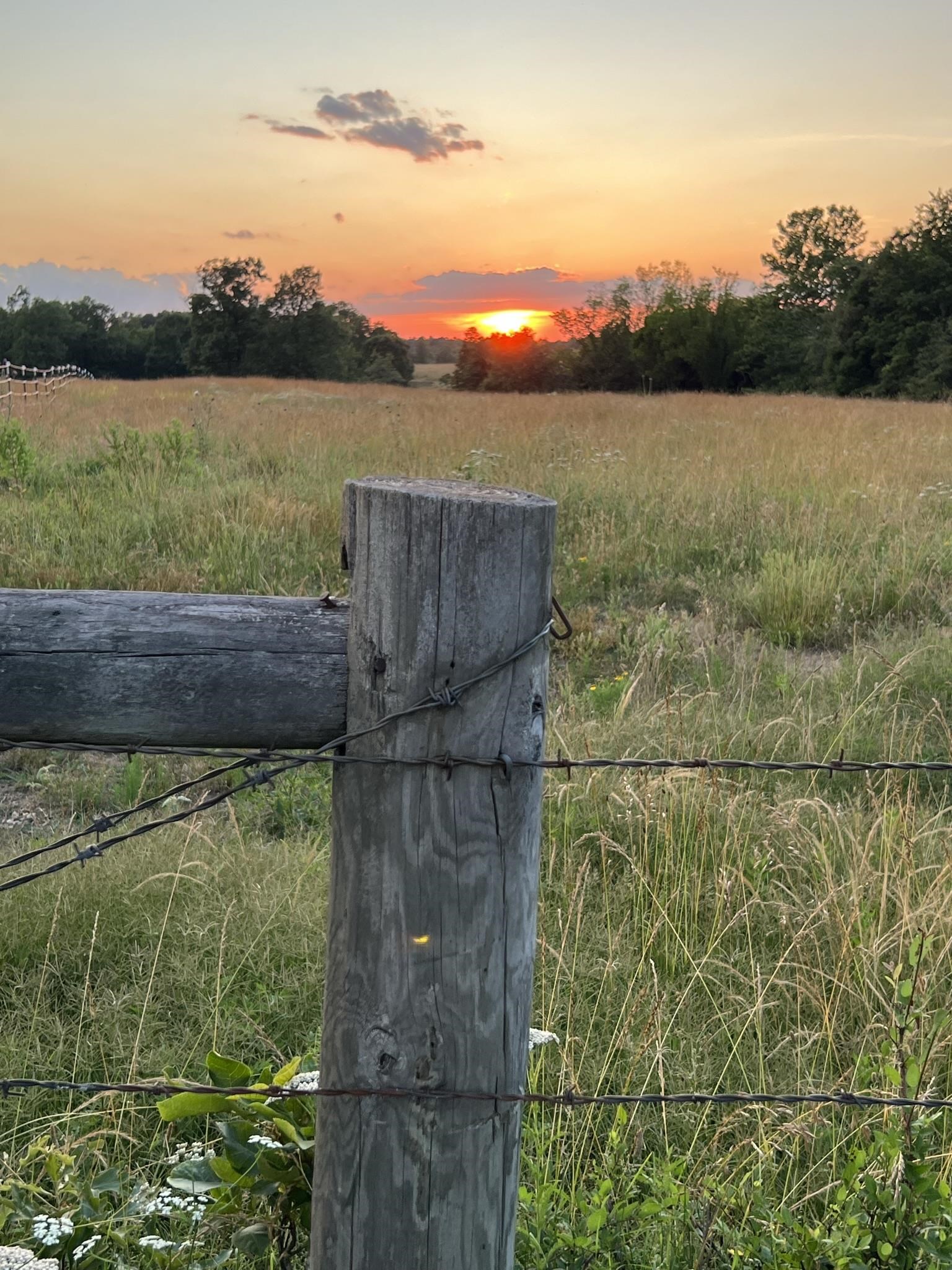 Metes & Bounds - Farm