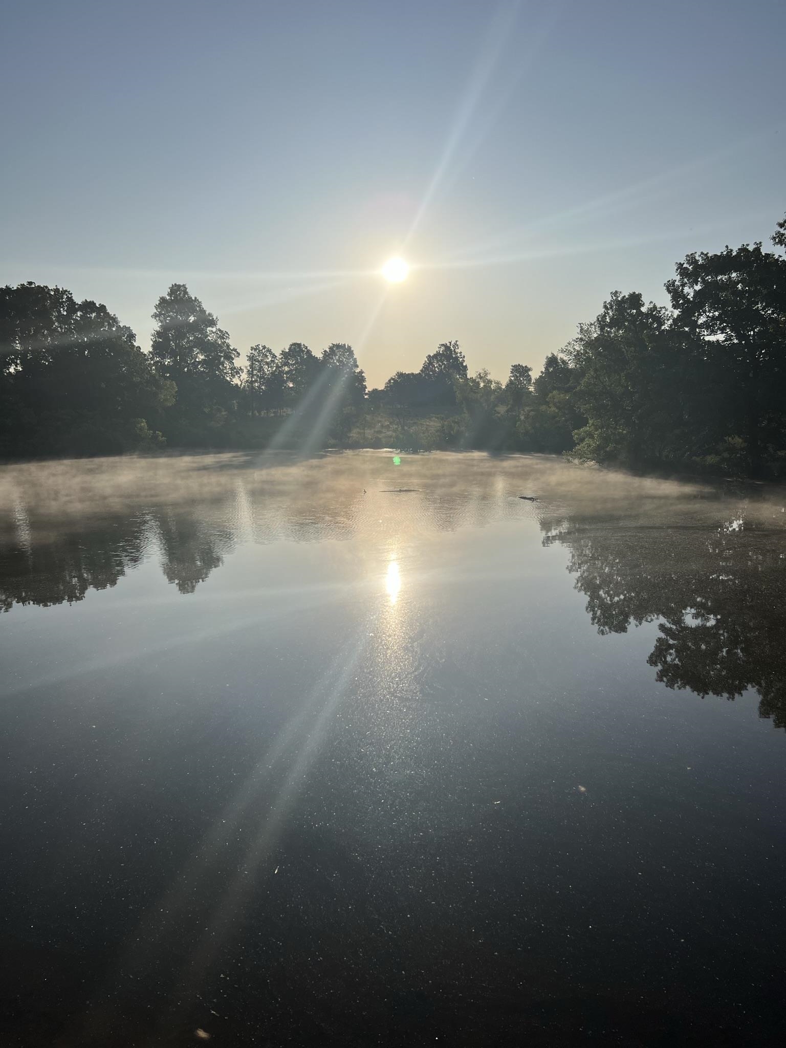 Metes & Bounds - Farm