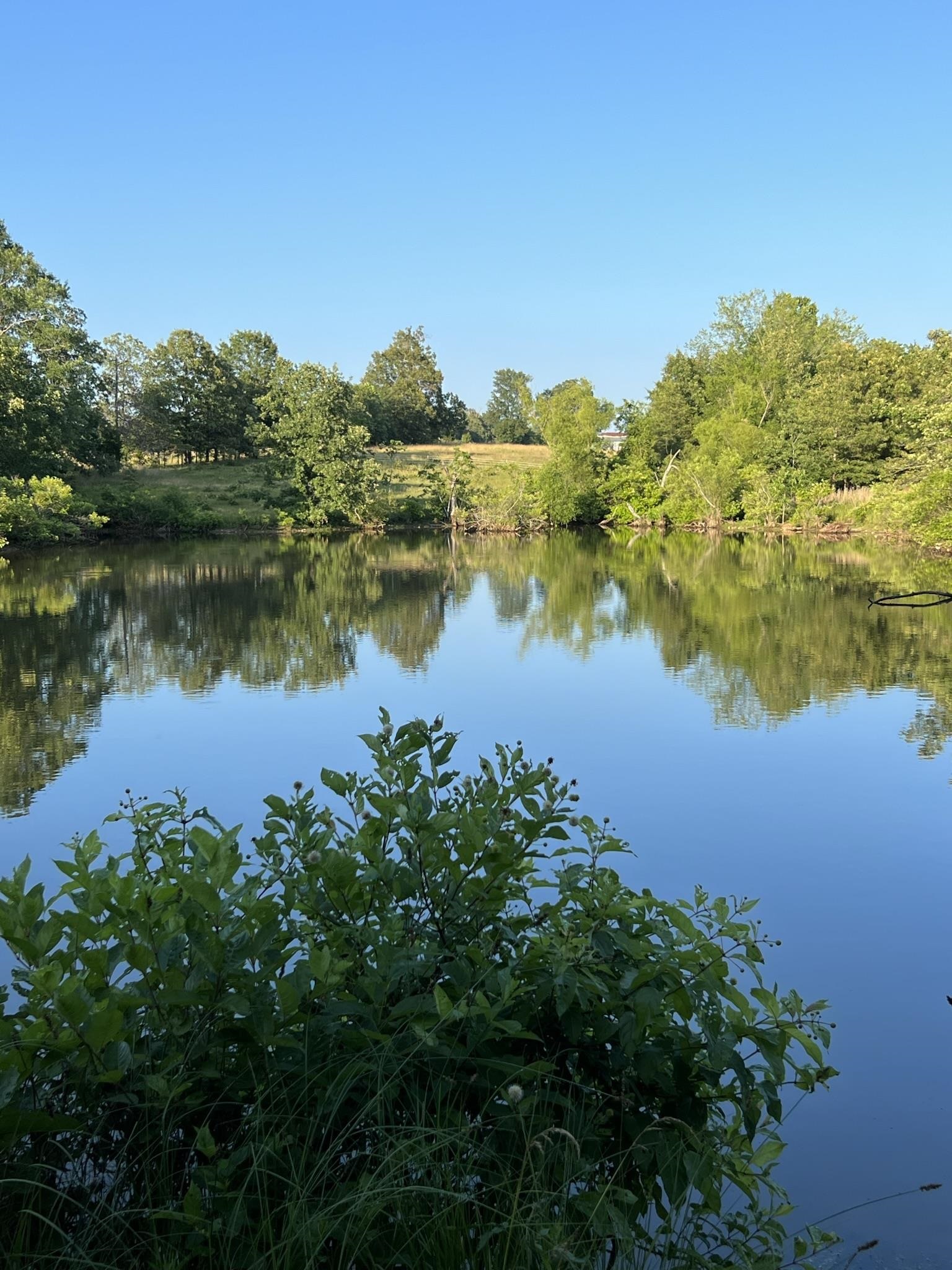 Metes & Bounds - Farm