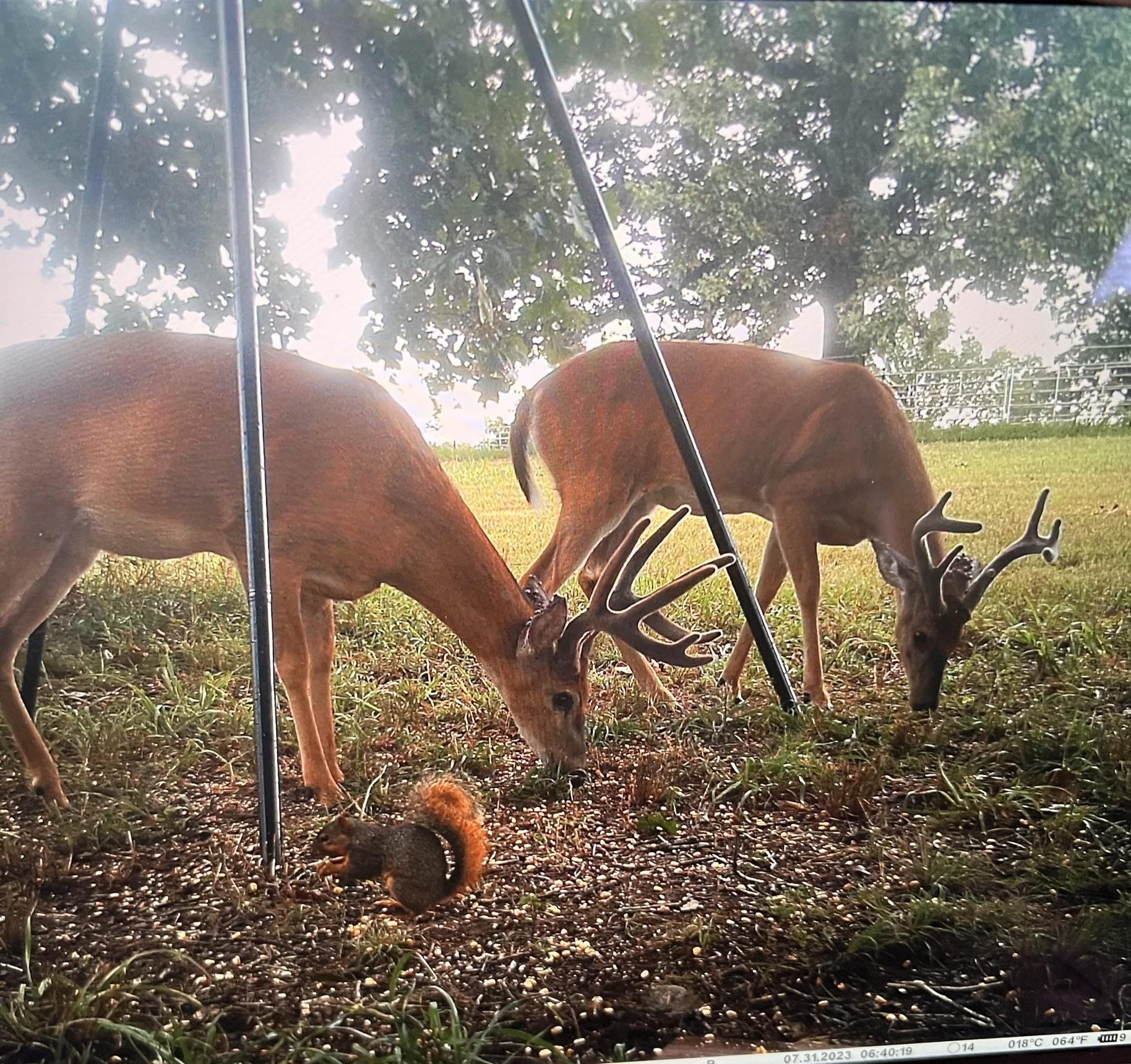 Metes & Bounds - Farm