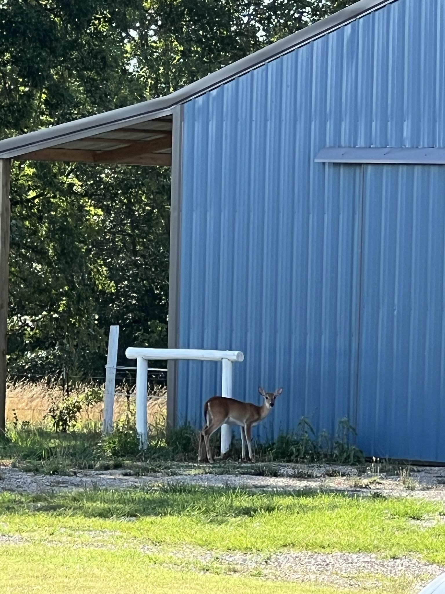 Metes & Bounds - Farm