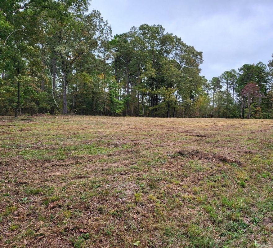 One of two lots side by side in Woodhaven Subdivision in Greers Ferry. Great location in town and close to marinas, restaurants, and shopping. Has been cleared and perc tested.