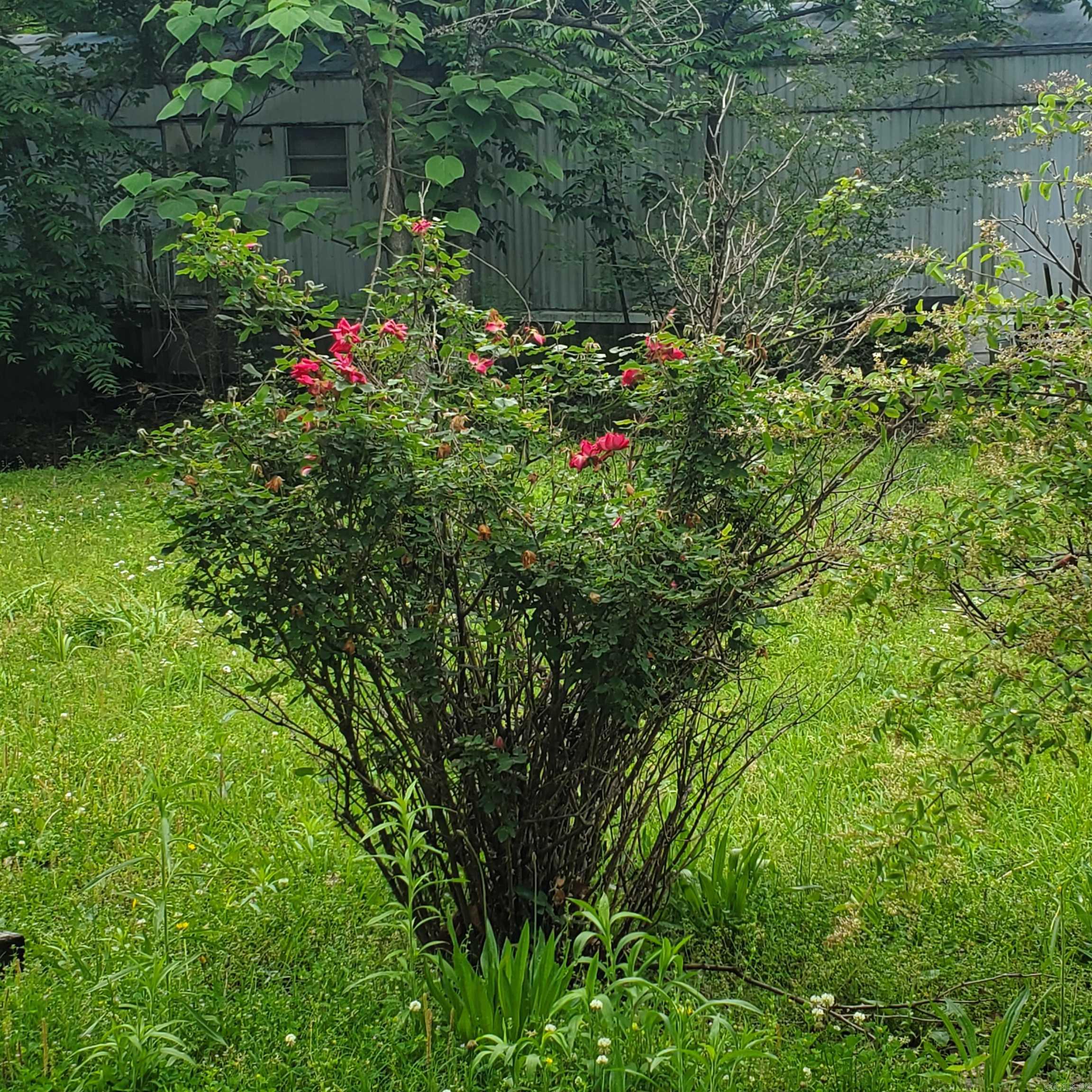 Mitchell - Residential