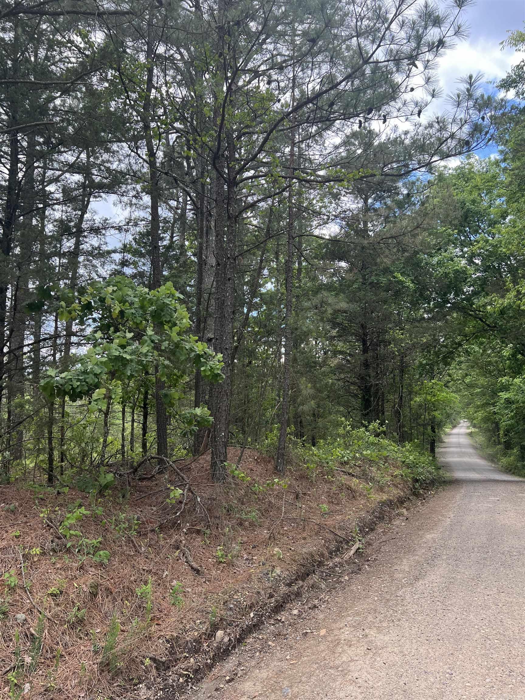 39.80 acres +/- Don't miss this rare opportunity to own nearly 40 acres of land in this high desirable location . This property is situated just between Bonnerdale and Glenwood . With high visibility and easy access from Dollar and Pennington road. Water, and electric available on both roads.