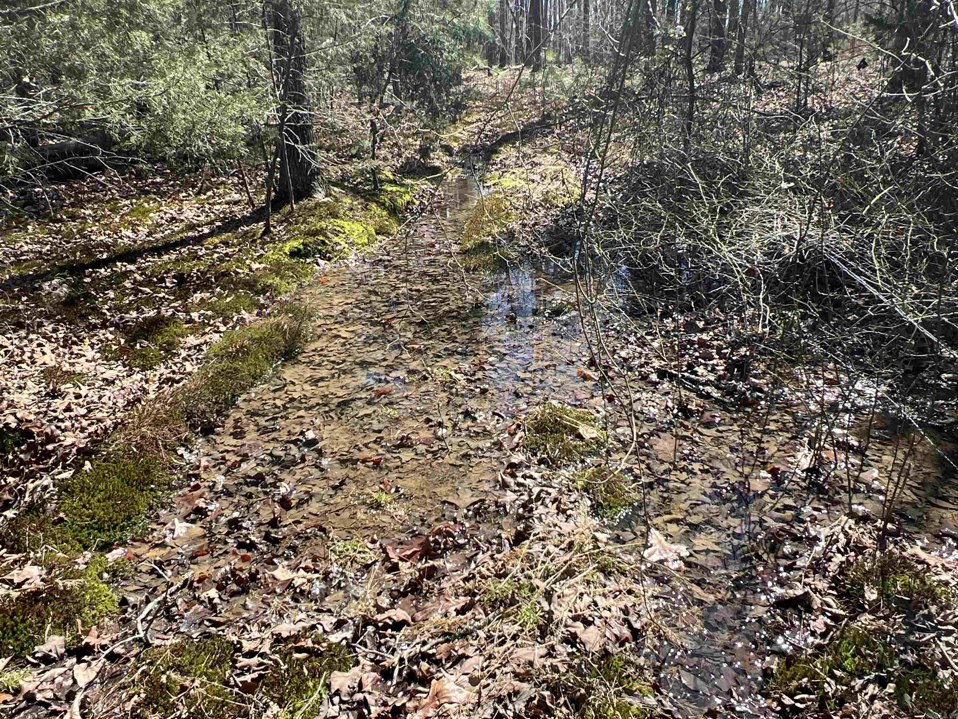 Metes & Bounds - Land