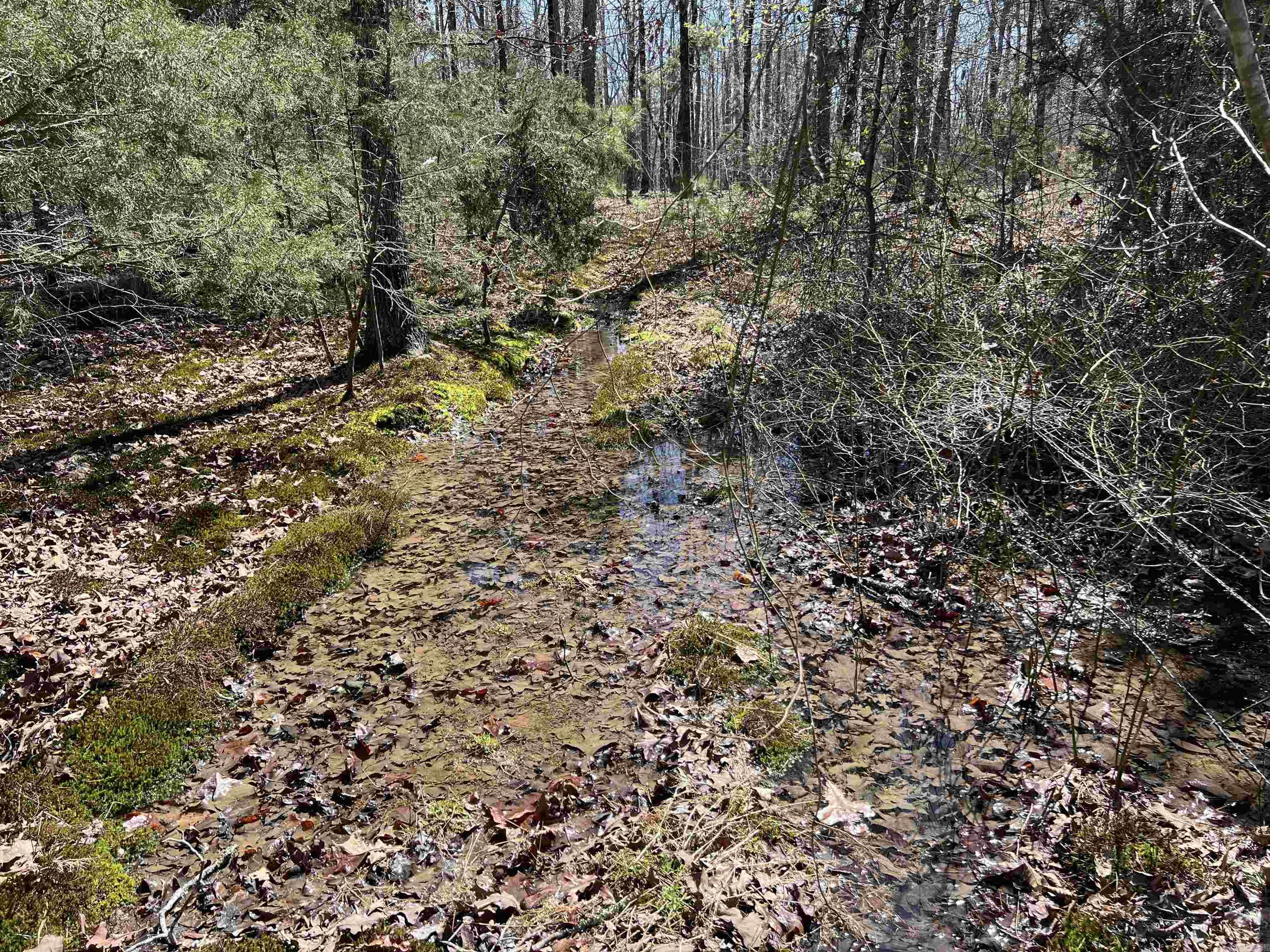 Metes & Bounds - Land