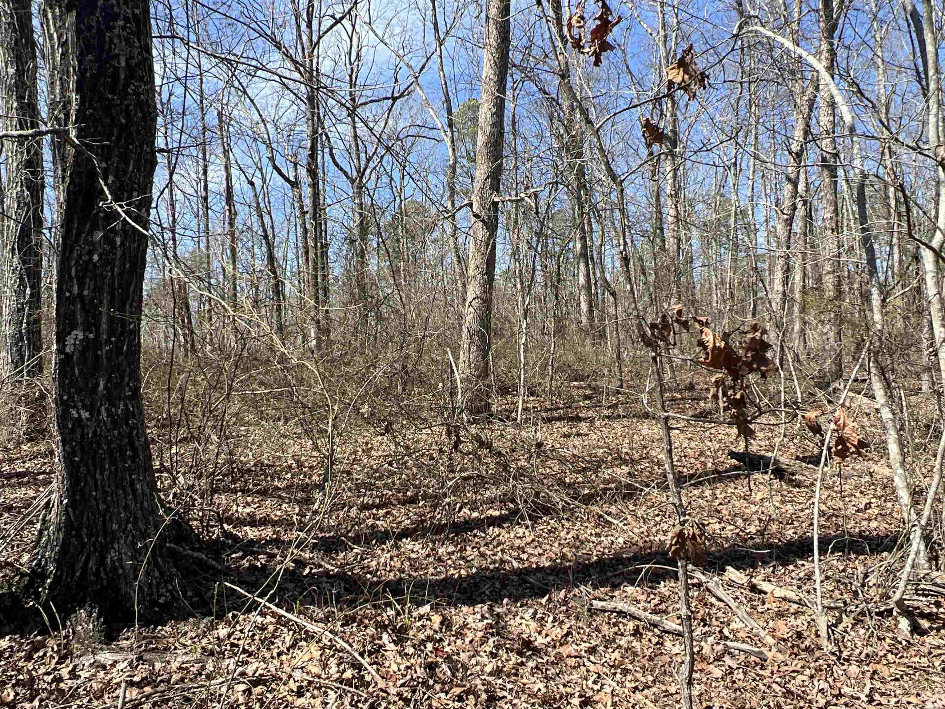 Metes & Bounds - Land