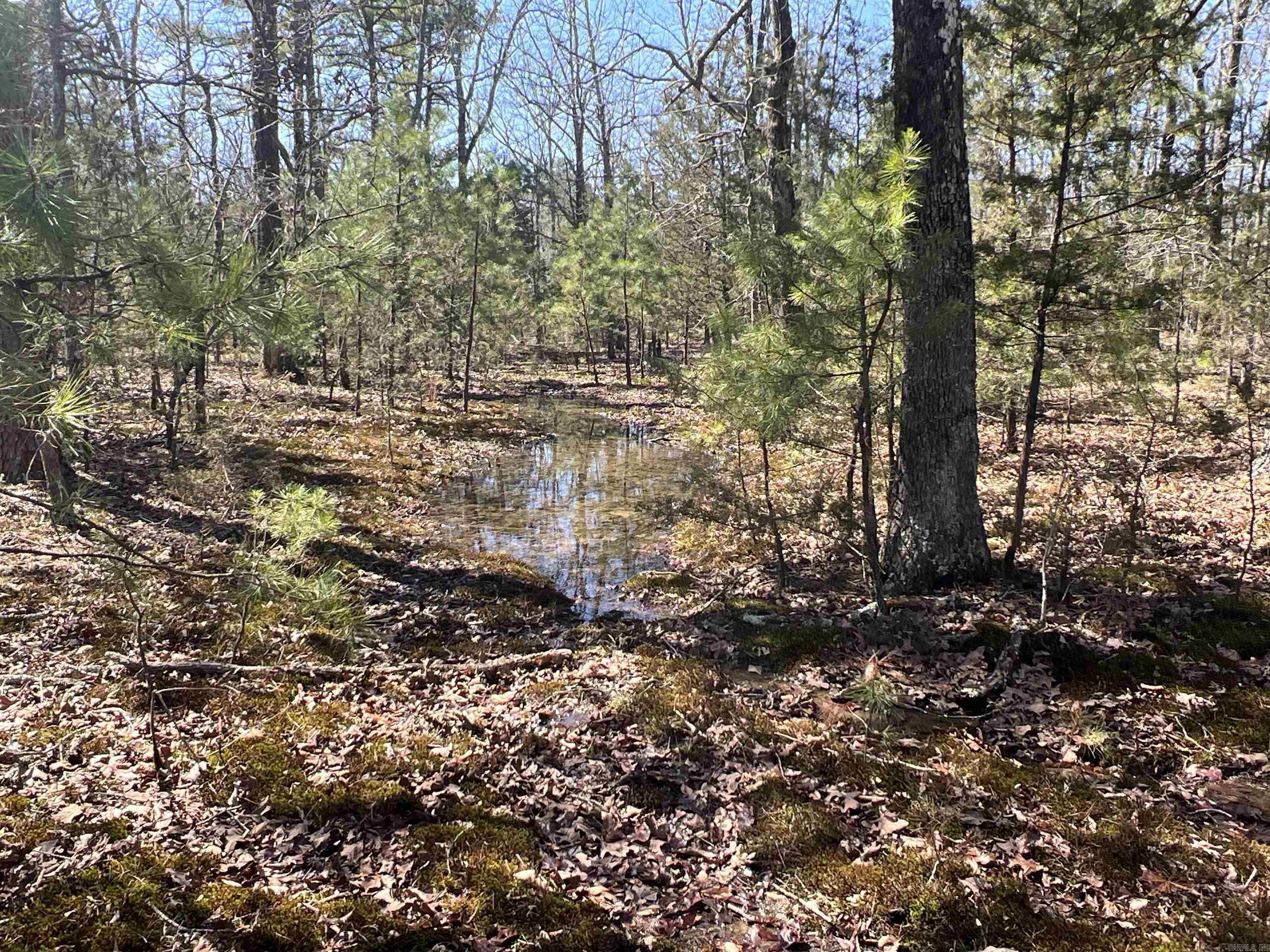 Metes & Bounds - Land