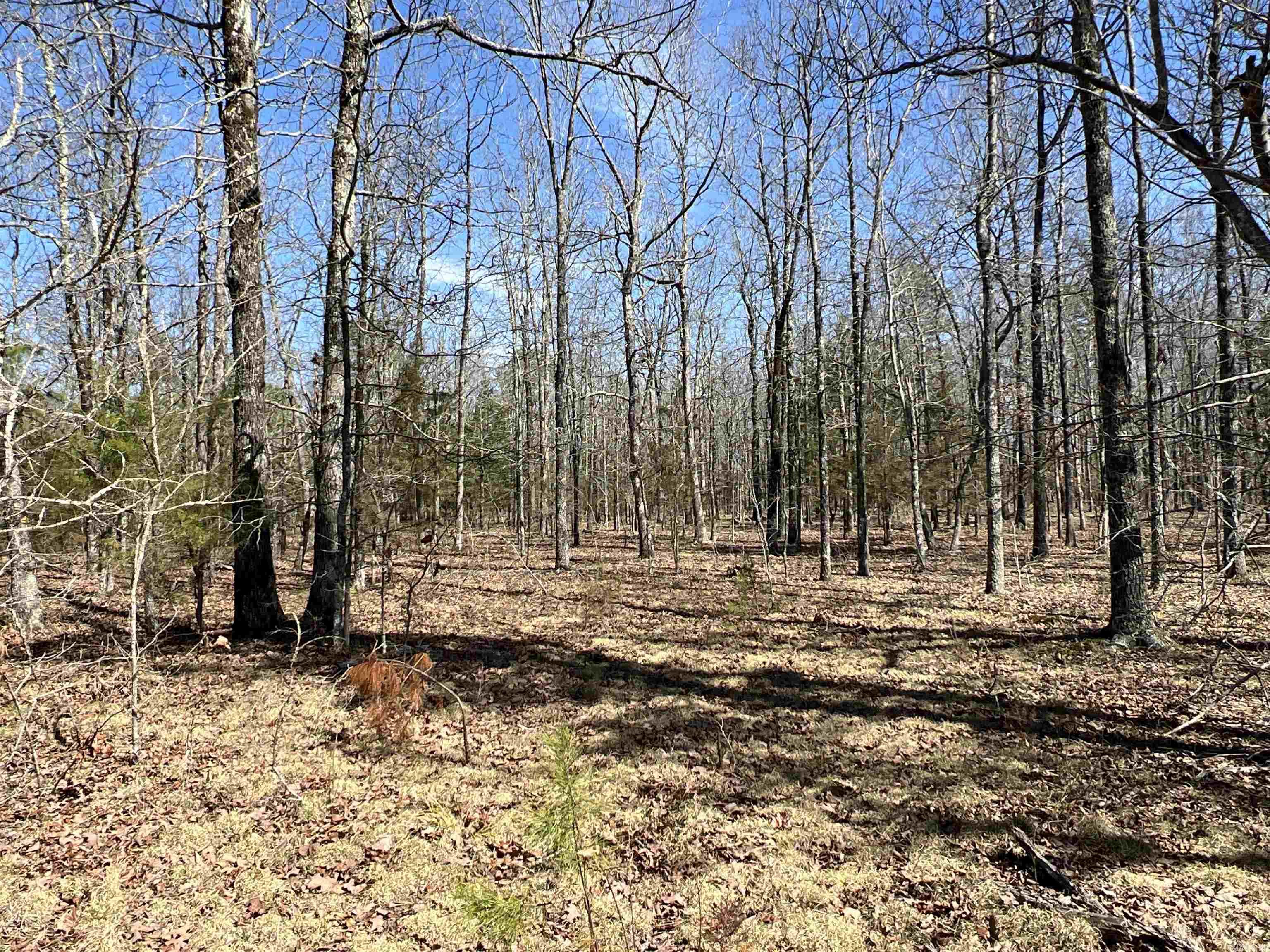 Metes & Bounds - Land