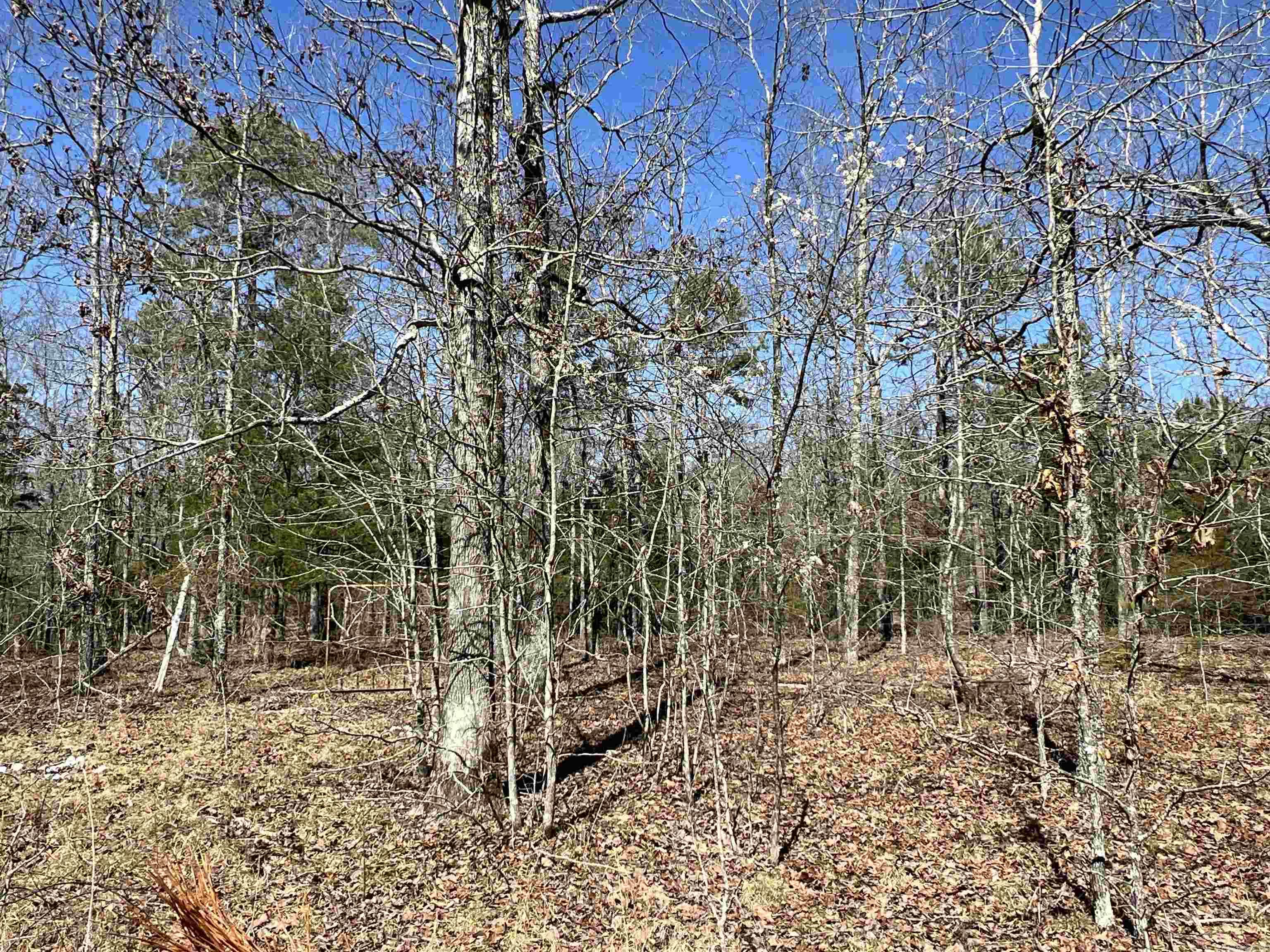 Metes & Bounds - Land