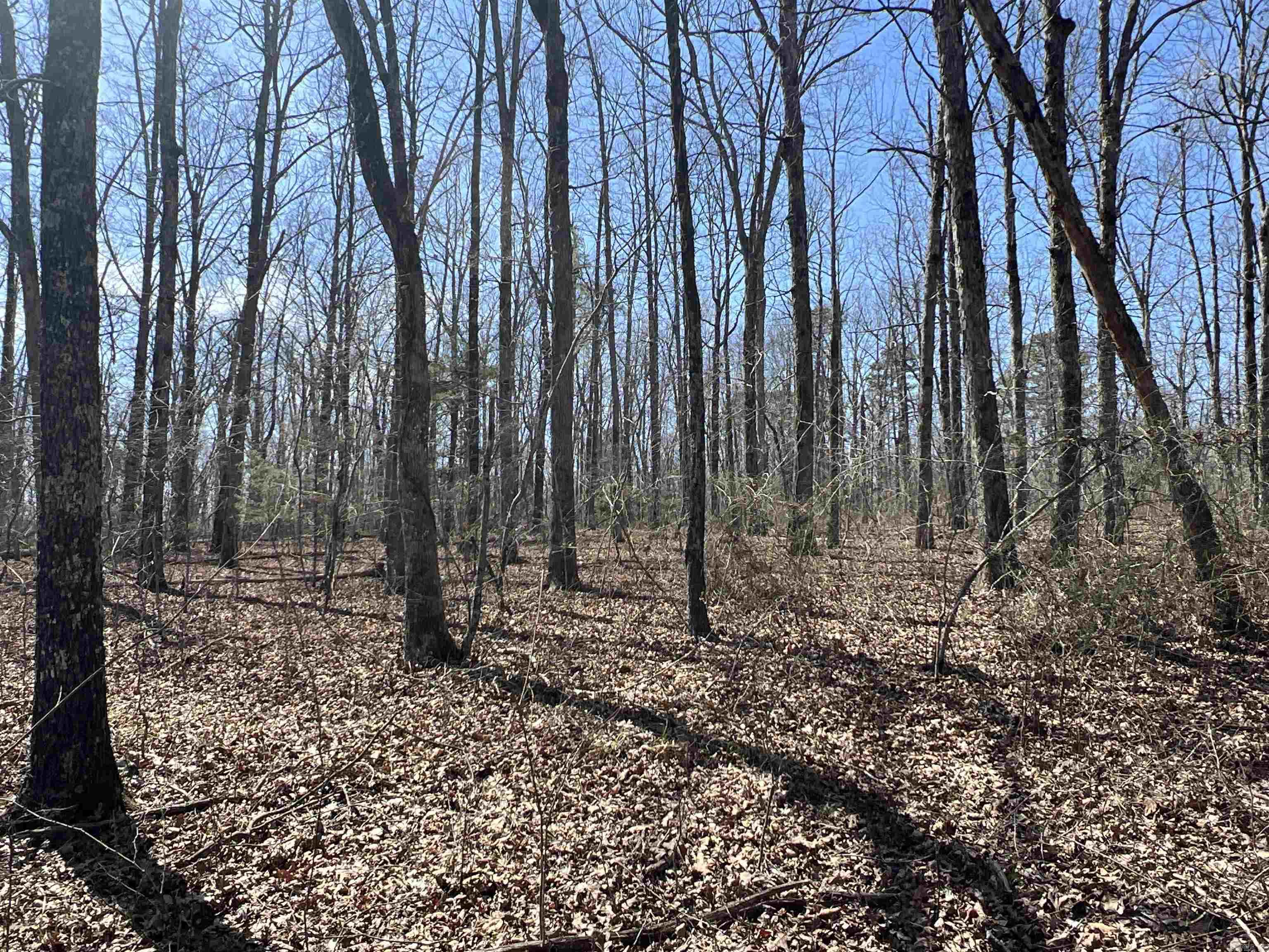 Metes & Bounds - Land