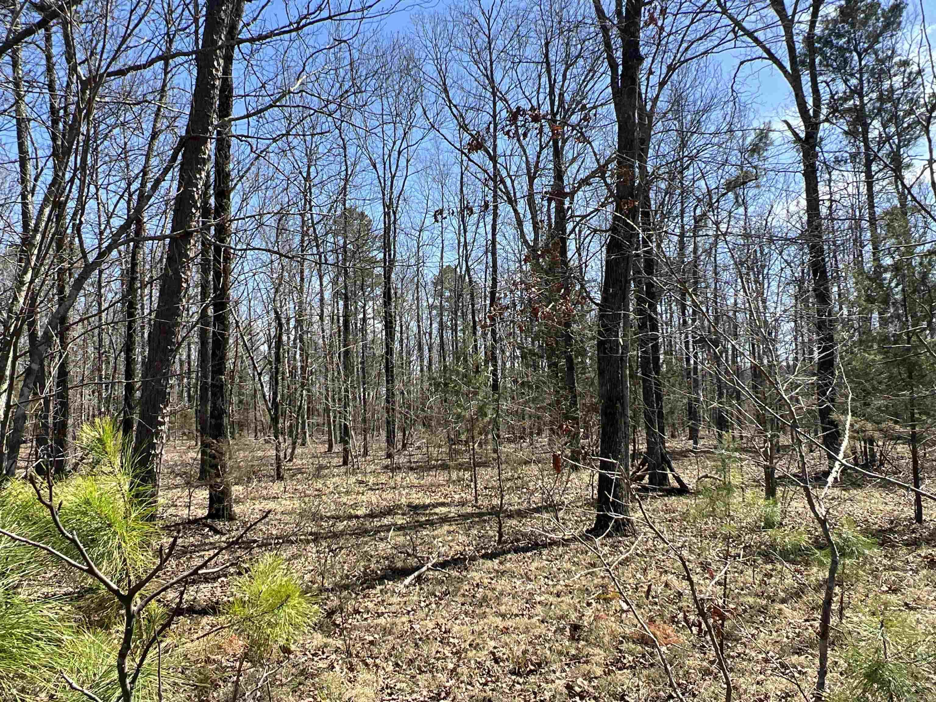 Metes & Bounds - Land