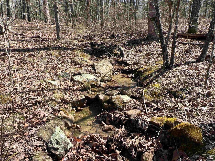 There is something special about driving down a less traveled road to access your own private retreat in the Ozarks.  If you long for a place to get away, then this may very well be the place for you.  This property has 20 +/- acres, situated at the end of the drive with electricity and a spring flowing out of the ground and across the North side of the parcel.  This property is mostly level providing multiple build sites with views.  The South and East edges slope to the parcel boundary of this wooded acreage.    Wildlife is abundant on the parcel with multiple whitetail deer seen while walking around the acreage.  The property has been primarily used as a hunting and recreational tract for many years.  With a little planning and work, setting up food plots, stands and shooting lanes this property will be a small but mighty premier hunting tract.  Located in Van Buren County Arkansas, this property is a mere 1.6 miles off Highway 110.  Petit Jean Electric is at the property, so Petit Jean Fiber Internet is also available.