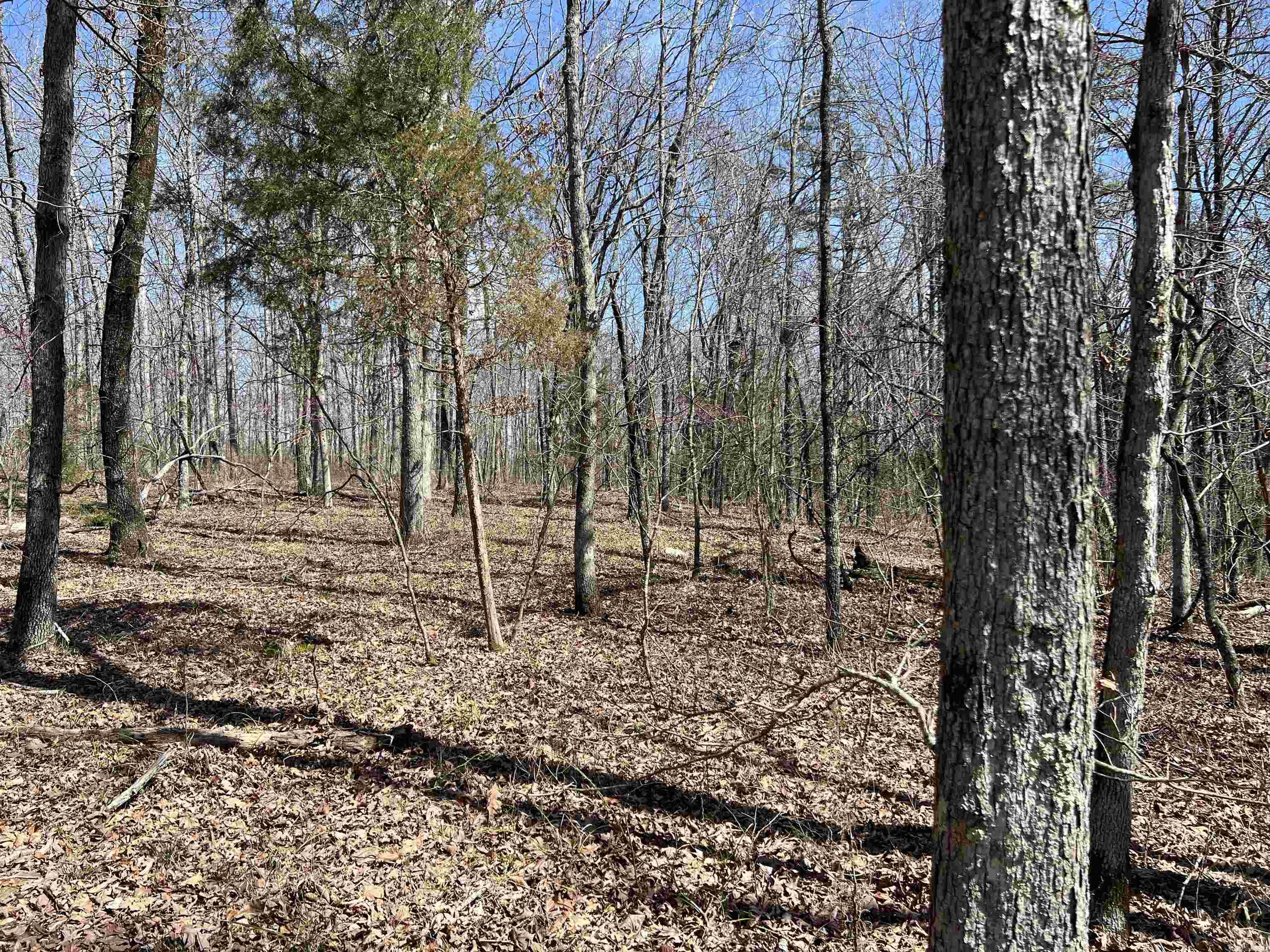 Metes & Bounds - Land