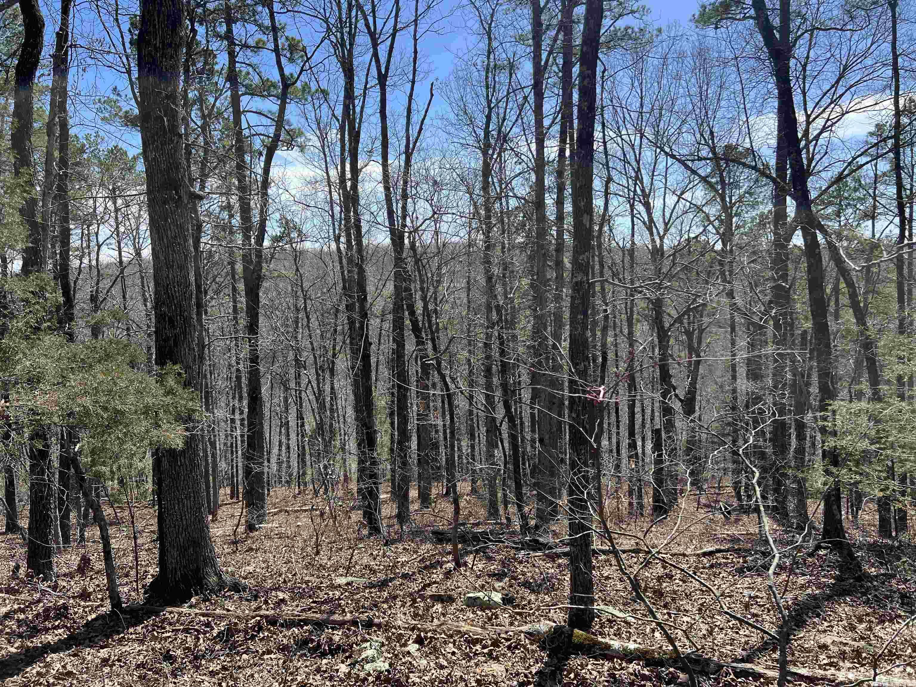 Metes & Bounds - Land