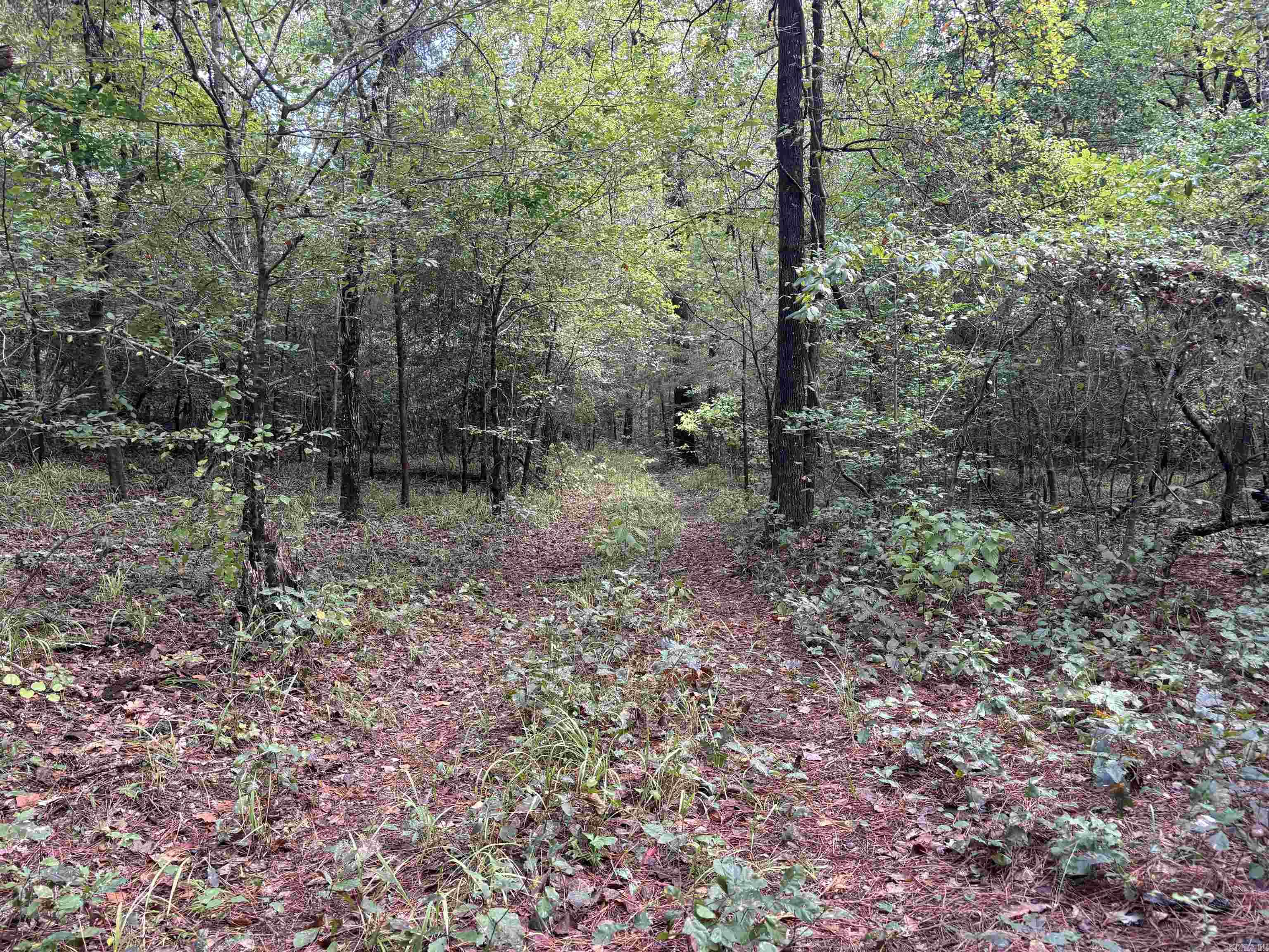 CHIDESTER LOTS AND BLOCKSCH - Land