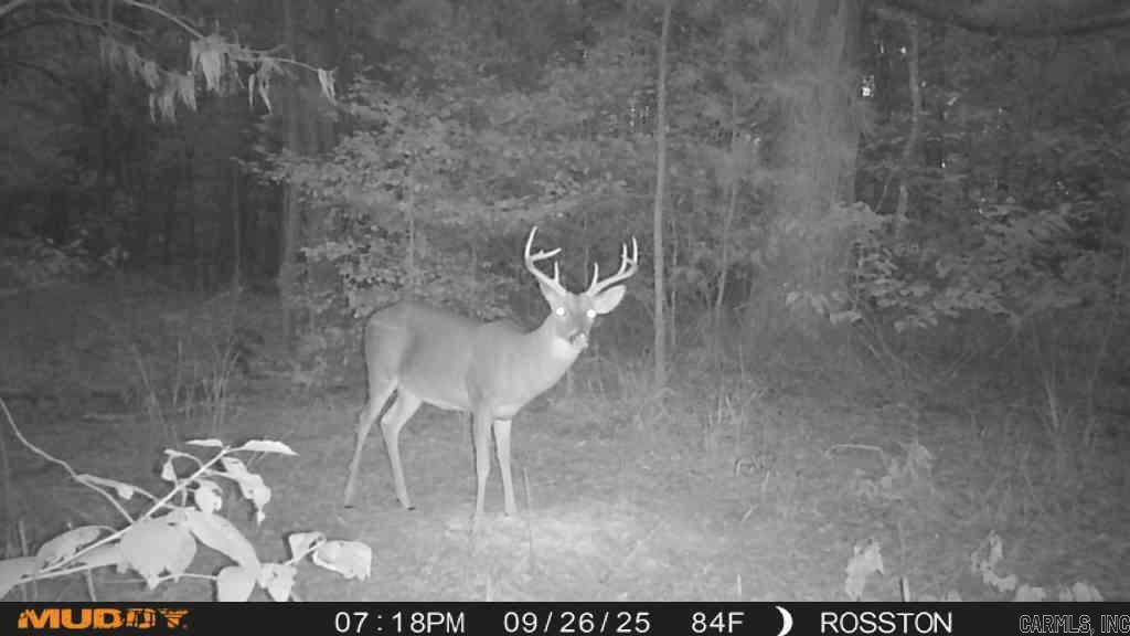 CHIDESTER LOTS AND BLOCKSCH - Land