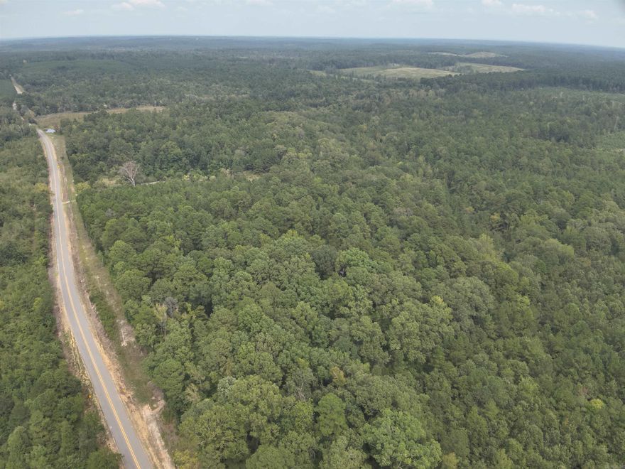 The ‘Good Hope 95’ (#03019-004081) is a ±94.8-acre tract located in the west-central part of Ouachita County about 4-½ miles south of Chidester.  Looking for a great timberland and hunting investment?  Look no further!  The property has excellent access from state highway #57, which provides over ¼ mile of frontage.  Along the highway is an old home site which would make a great home or camp site!  Bragg Mill Creek flows across the north end of the property along which is a mature stand of hardwood timber.  The property has a mixture of mature pine and hardwood that not only is great deer and turkey habitat but also provides immediate income potential!  A timber inventory is available upon request.  Want more?!...this property backs up to a small portion of the Poison Springs State Forest adding additional outdoor recreational opportunities!  Still want more?...This property is only 2-1/2 miles from the boat ramps on Upper and Lower White Oak Lakes!  Don’t miss out on this timberland and hunting investment opportunity!